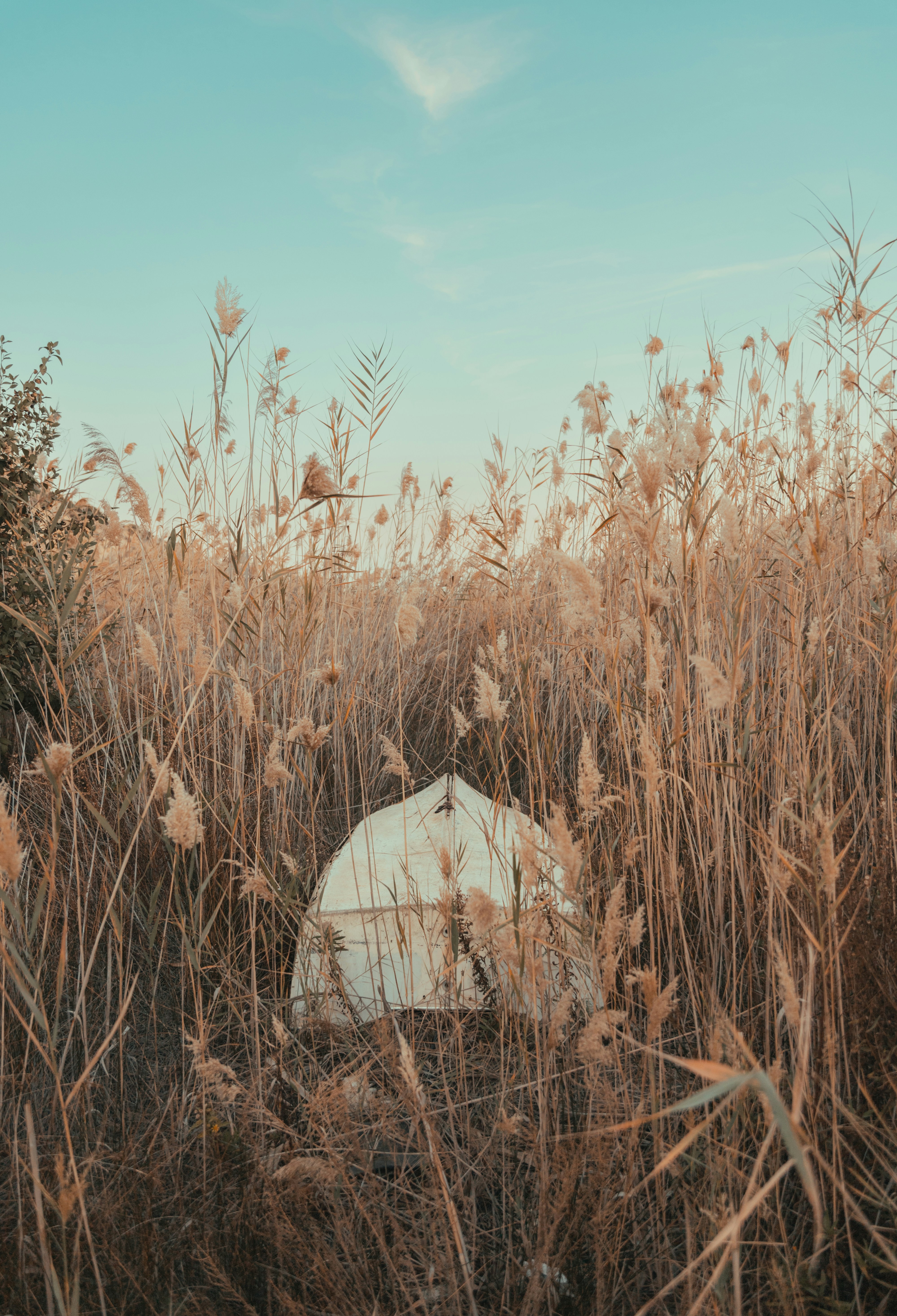 Photo by svyat_teslyak