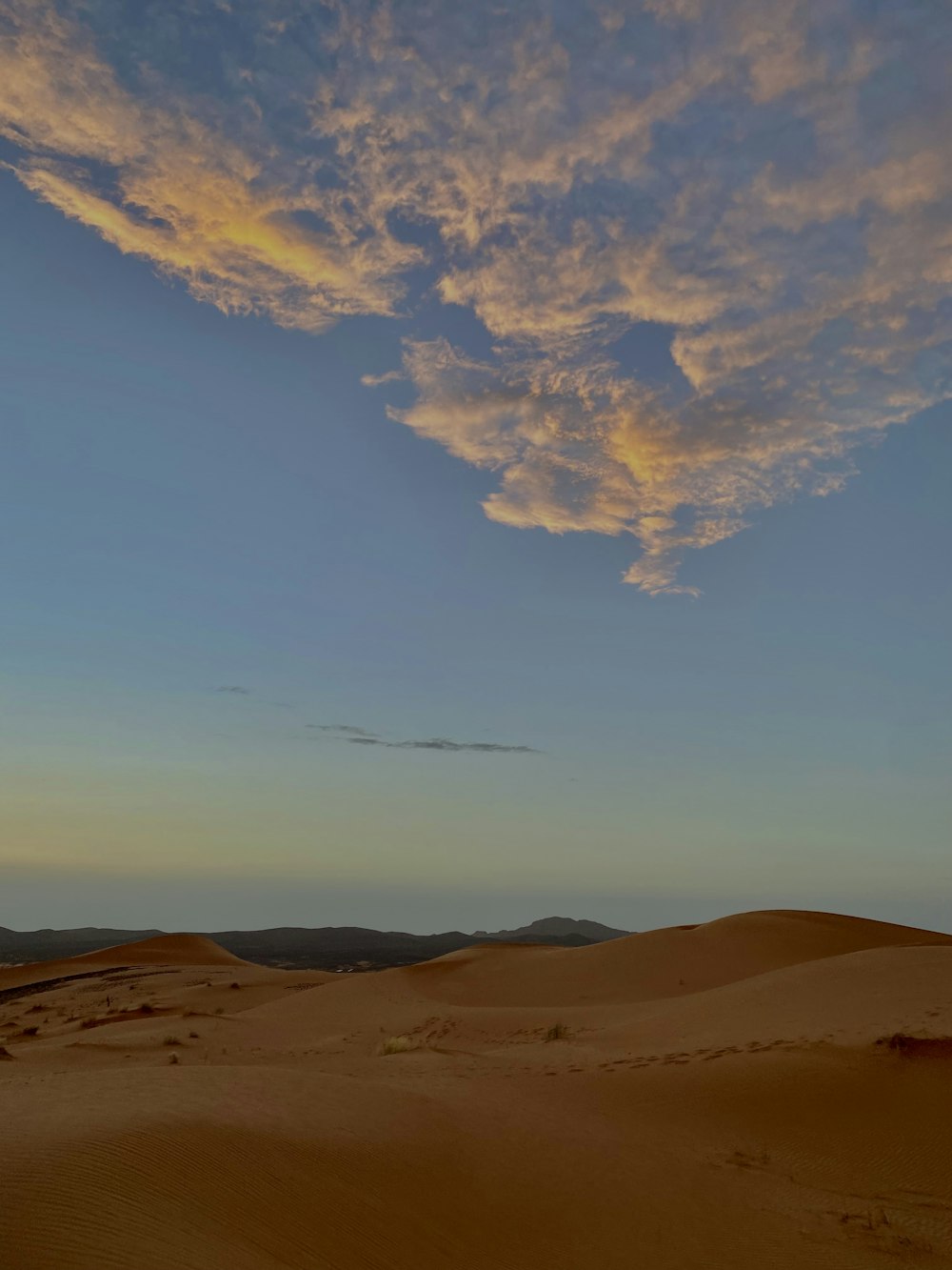 a lone horse standing in the middle of a desert