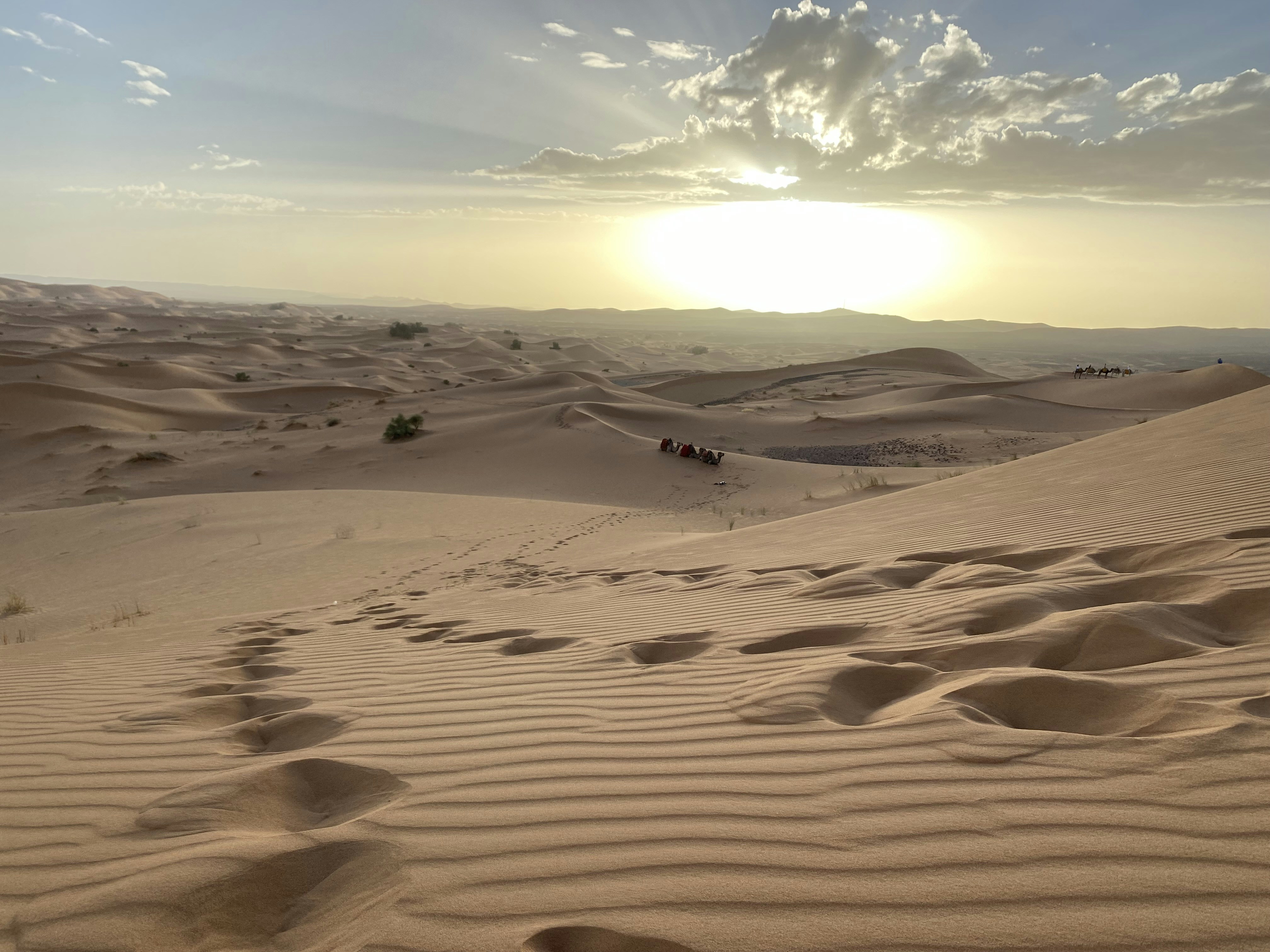 Photo by sebvergara30