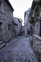 A quiet cobblestone alleyway lined with ivy-covered walls in a European village.
