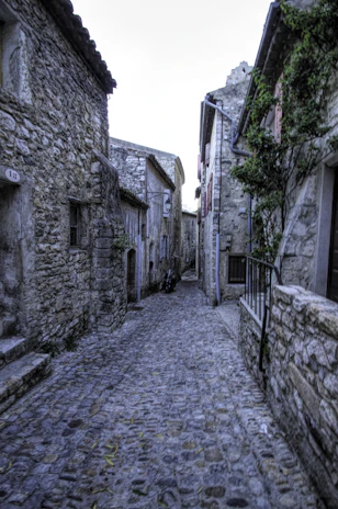 A quiet cobblestone alley framed by ivy-covered walls in a historic city.