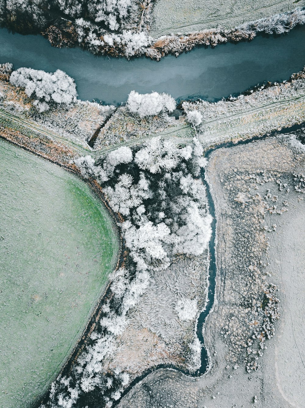 Un río que atraviesa un exuberante campo verde