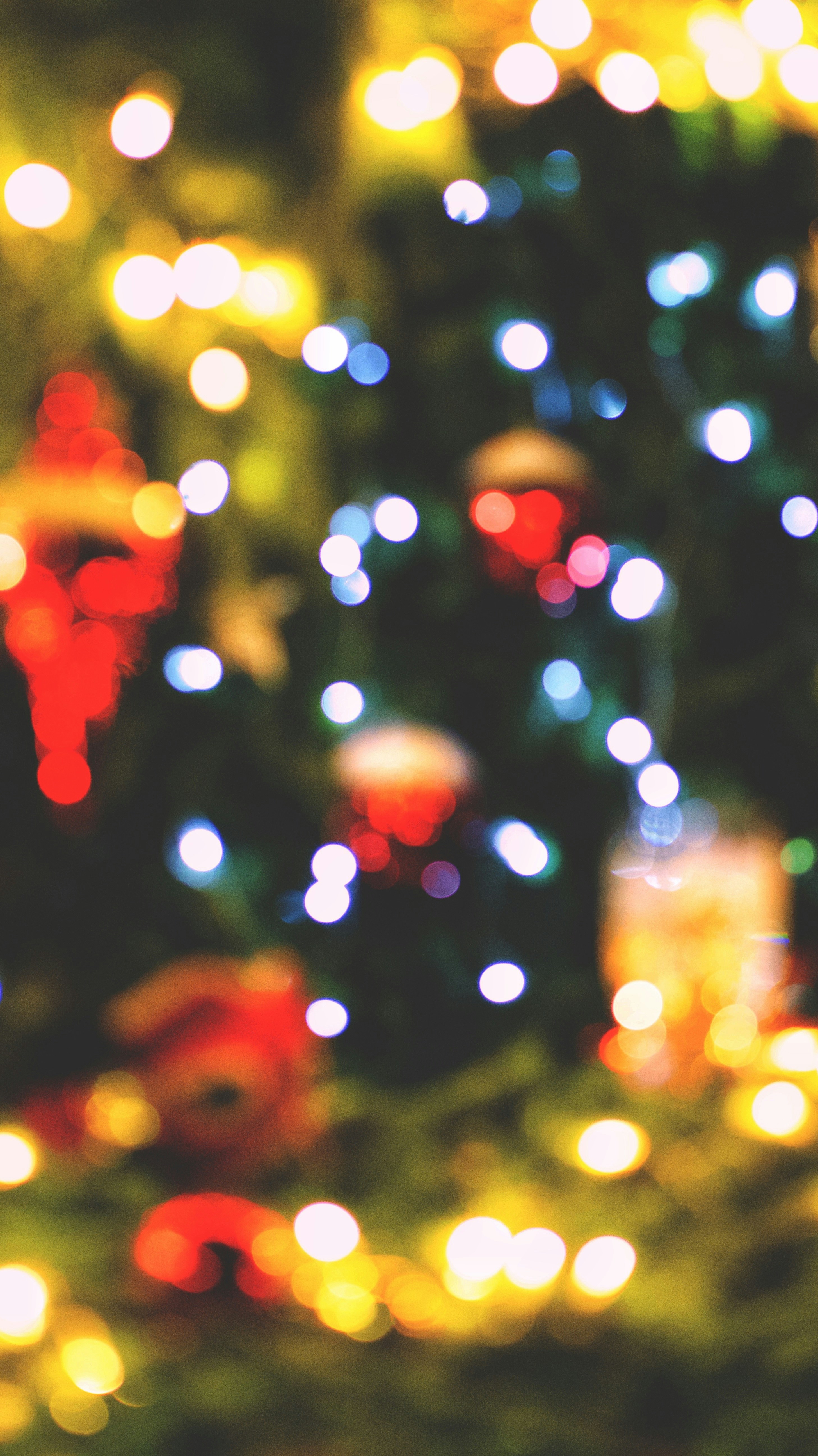 Photo by trofimova_photographer