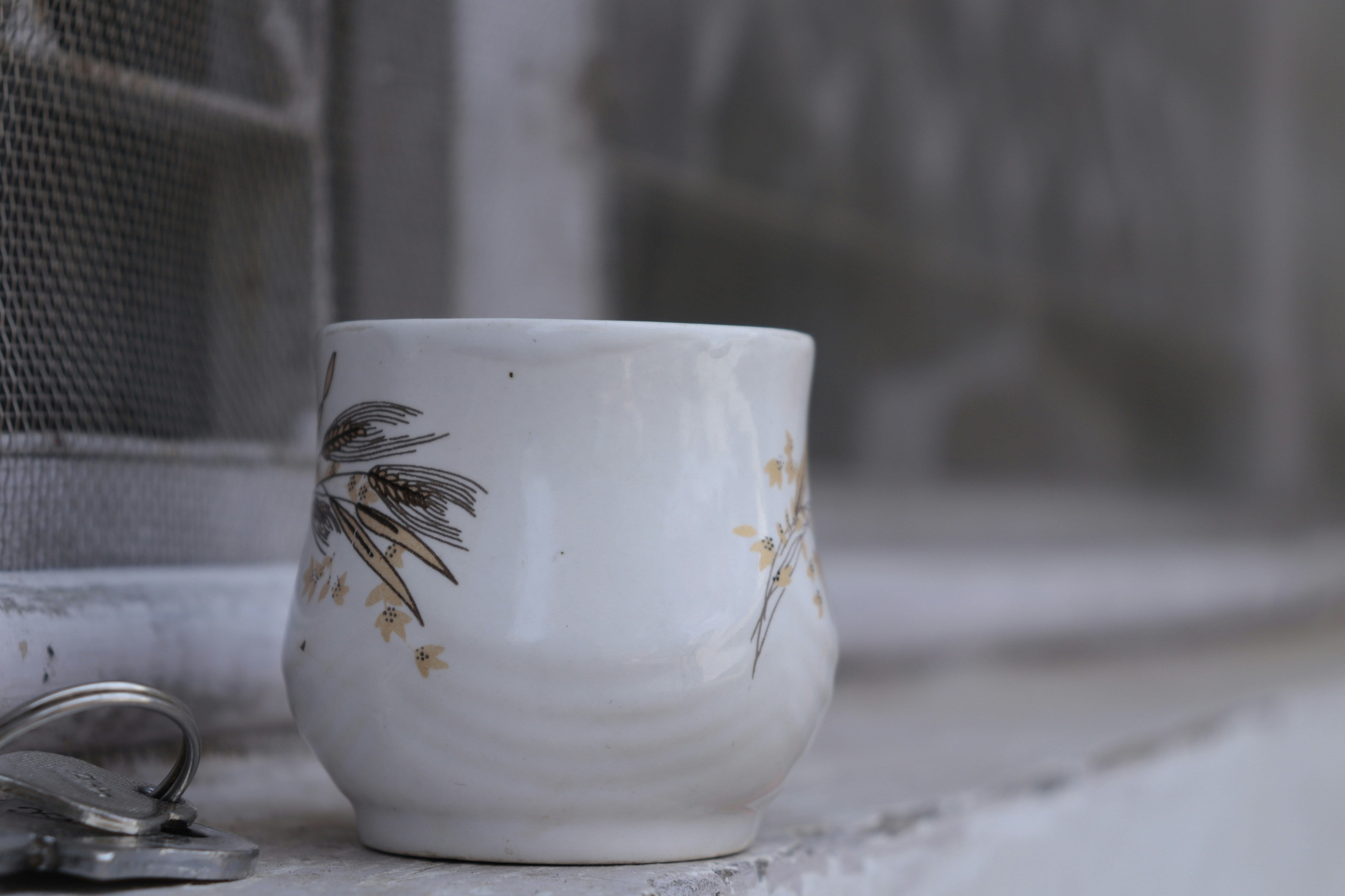 Photo by anyzoystudio