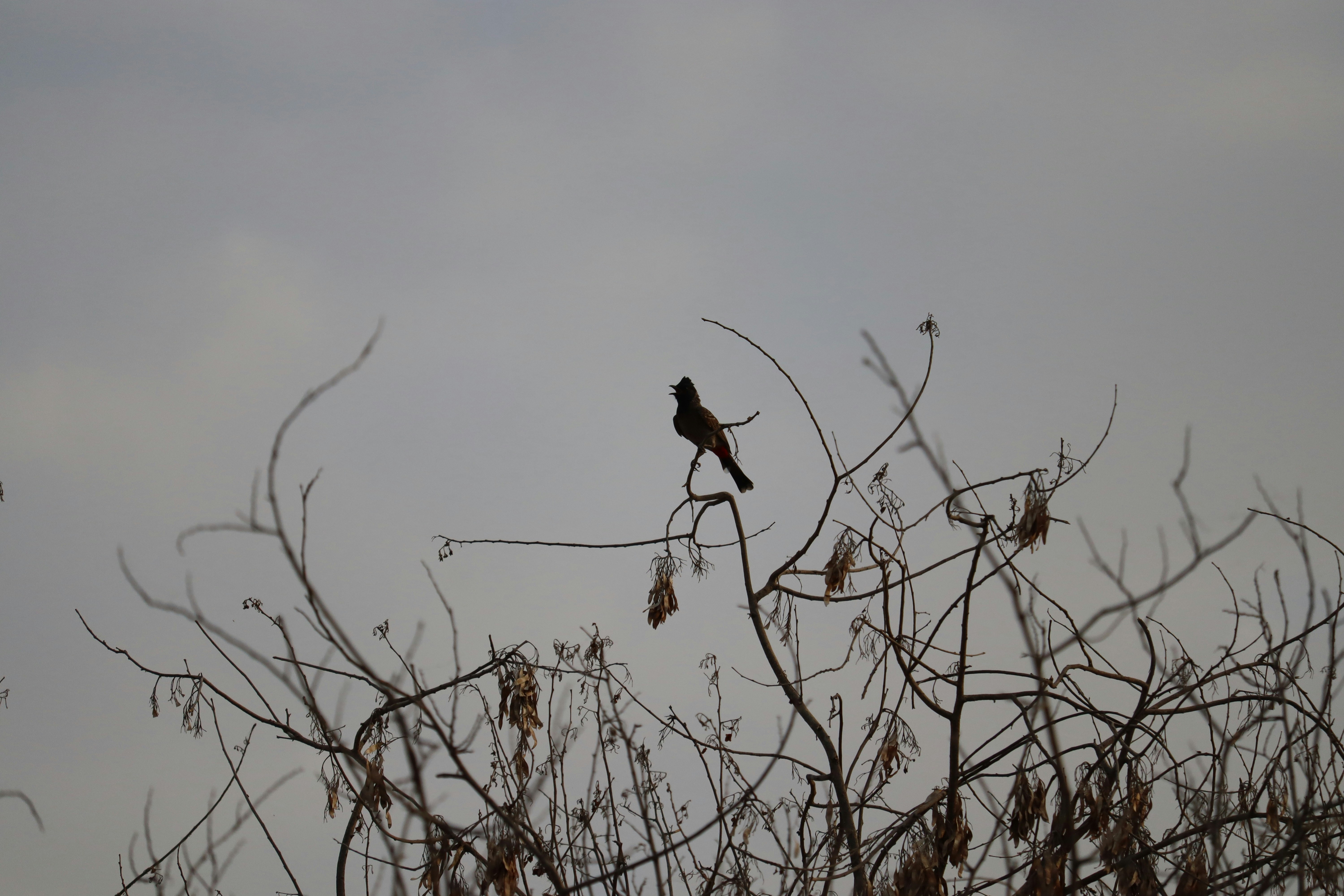 Photo by anyzoystudio