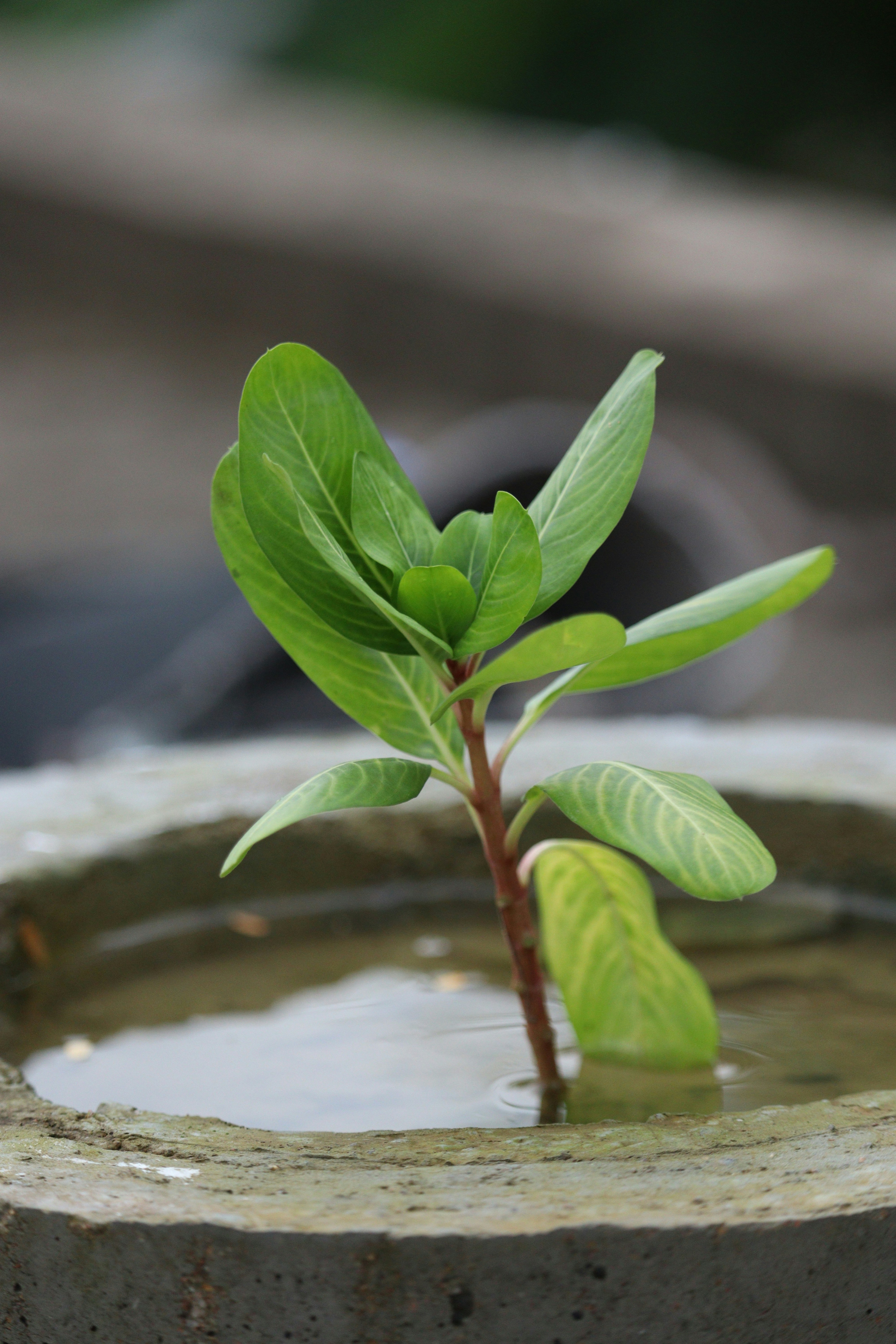 Photo by anyzoystudio