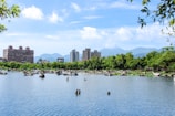 A serene landscape featuring a calm body of water with driftwood scattered along its banks. Lush green trees line the far edge of the water, with modern high-rise buildings visible in the background. The scene is set against a backdrop of mountains under a bright blue sky dotted with fluffy white clouds. Branches and leaves frame the picture, adding a natural border.