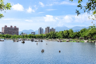 A serene landscape featuring a calm body of water with driftwood scattered along its banks. Lush green trees line the far edge of the water, with modern high-rise buildings visible in the background. The scene is set against a backdrop of mountains under a bright blue sky dotted with fluffy white clouds. Branches and leaves frame the picture, adding a natural border.