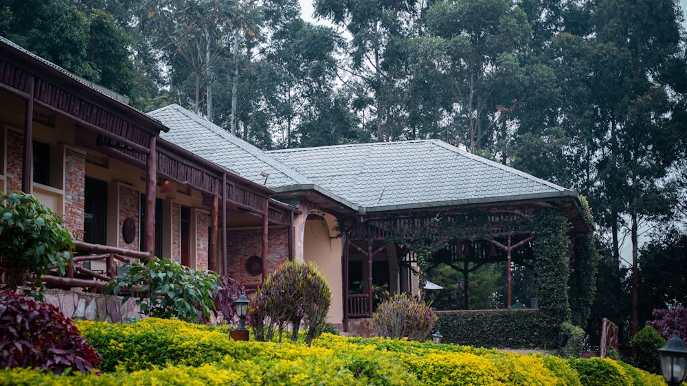 a house in the middle of a lush green forest