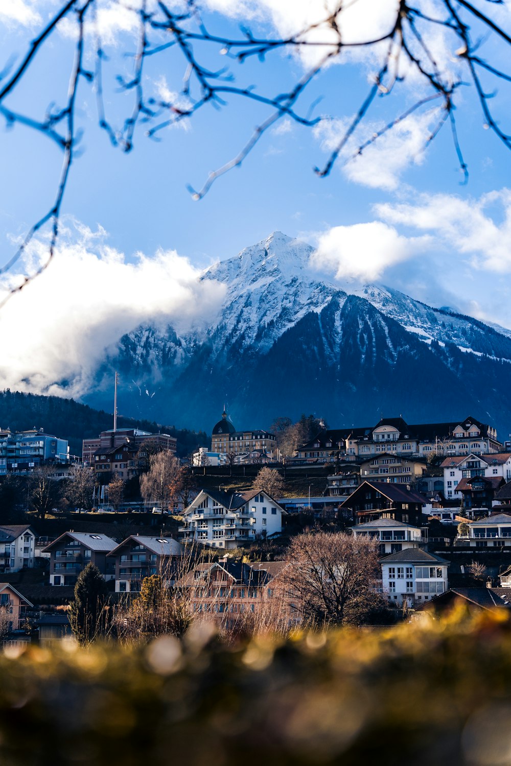 a view of a city with a mountain in the background