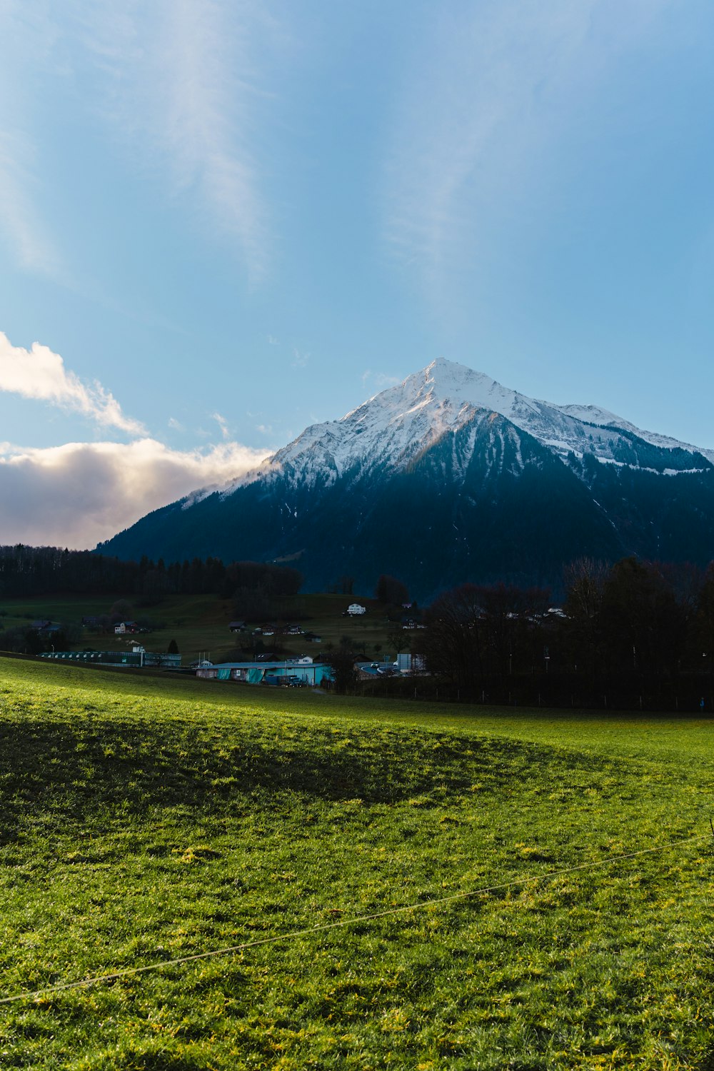 a green field with a mountain in the background