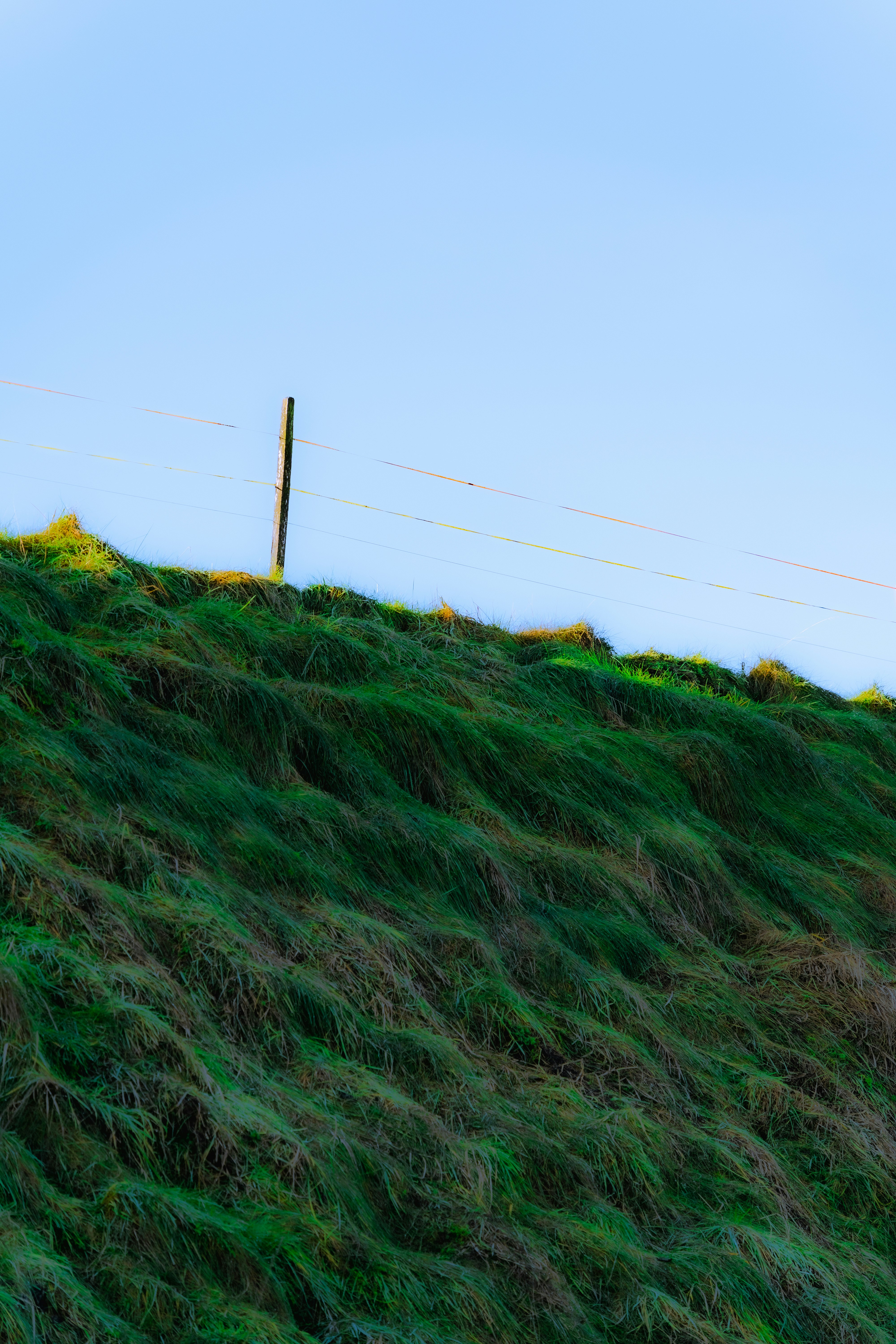 Photo by __evanyang__