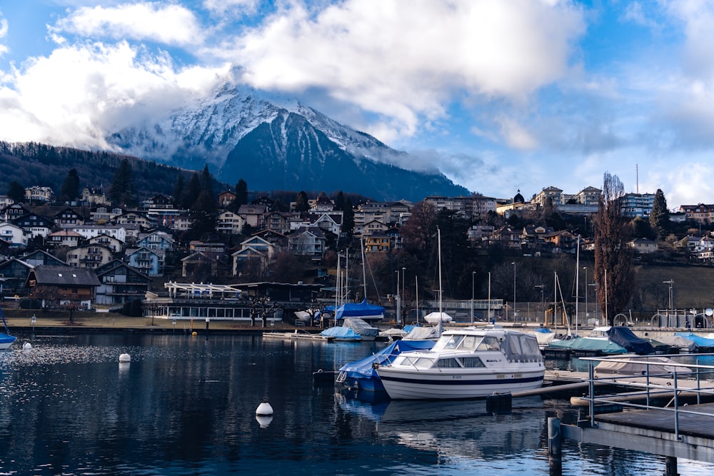 boats are docked in a harbor with a mountain in the background