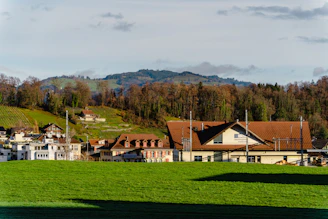 a green field with houses in the background