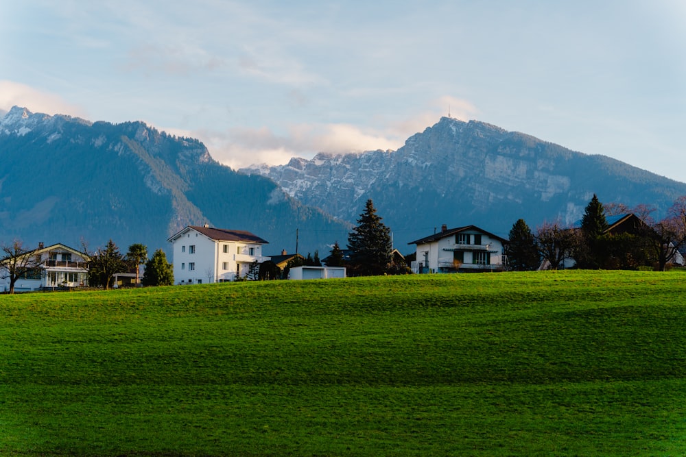 a green field with houses and mountains in the background