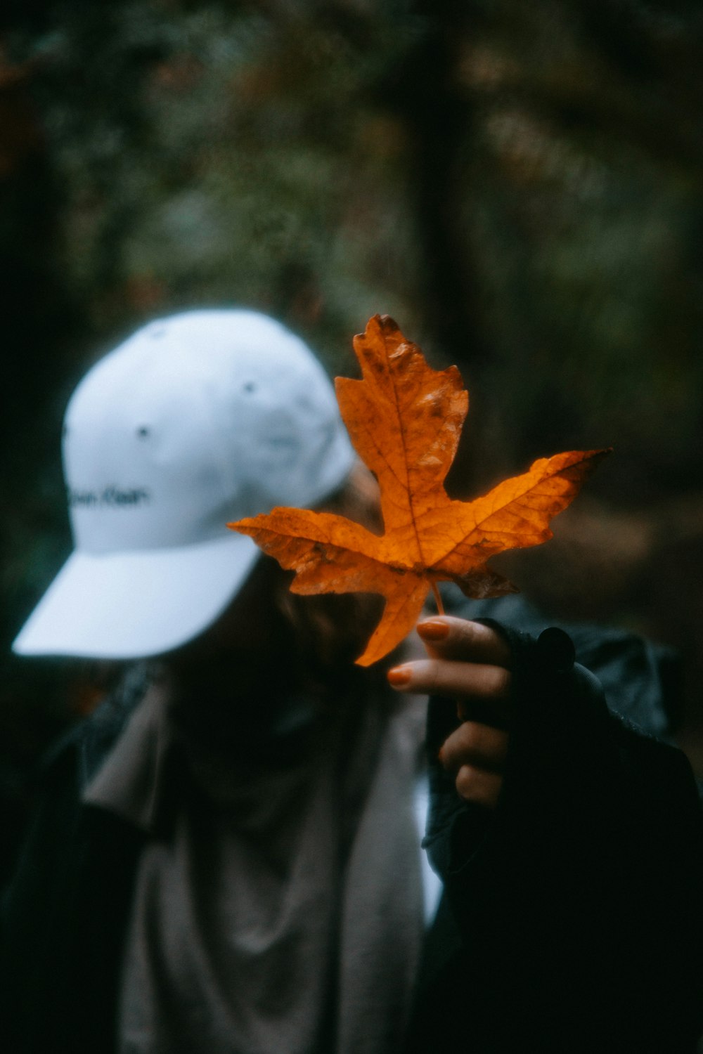 a person holding a leaf in front of their face