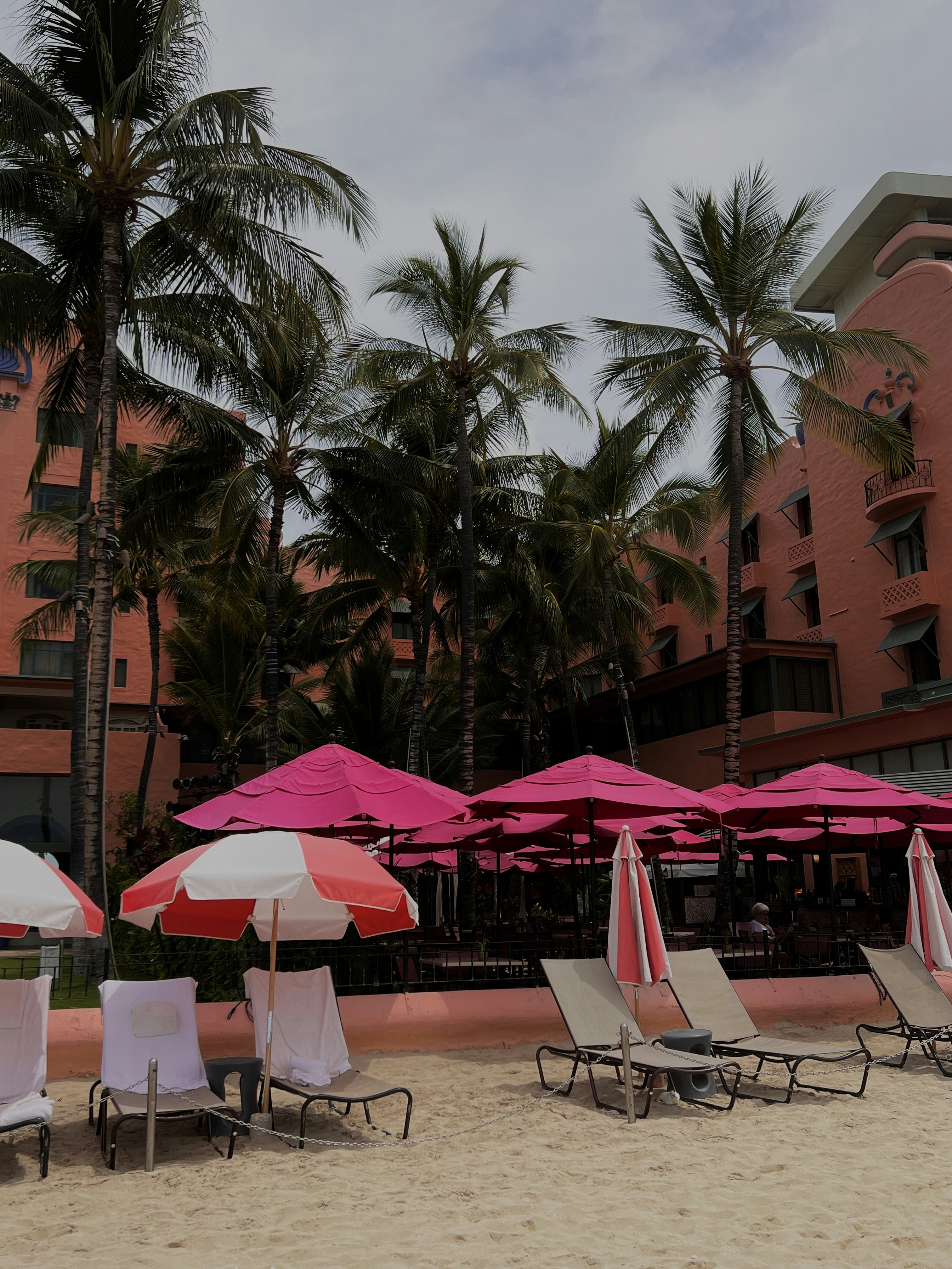 A bunch of chairs and umbrellas on a beach photo Free Waikiki Image