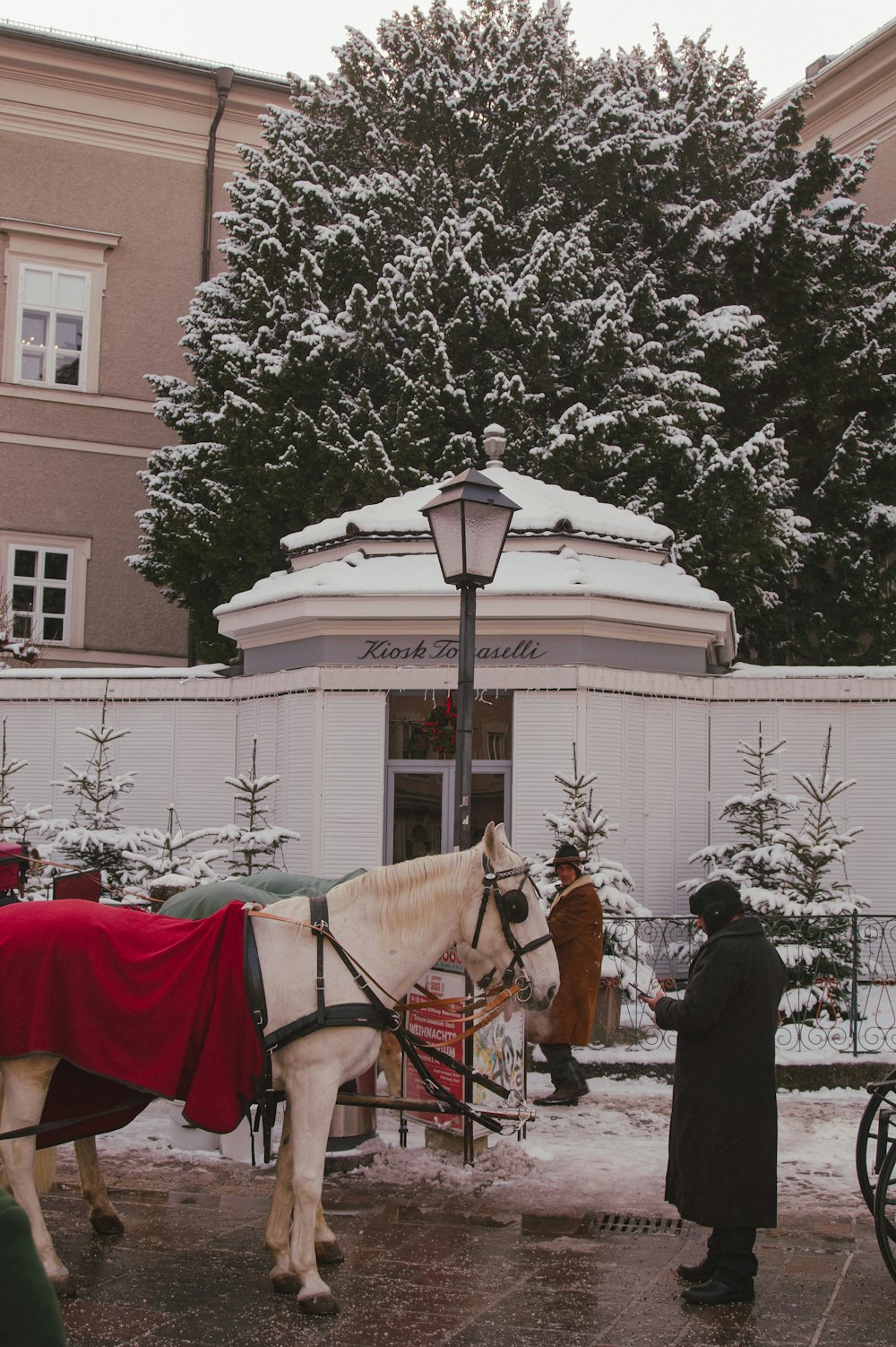 a white horse with a red blanket on it's back