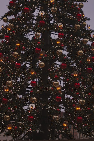 A large outdoor Christmas tree adorned with red and gold ornaments and glowing lights. The tree is decorated with a mixture of spherical baubles and candle-like lights, creating a festive and warm atmosphere.
