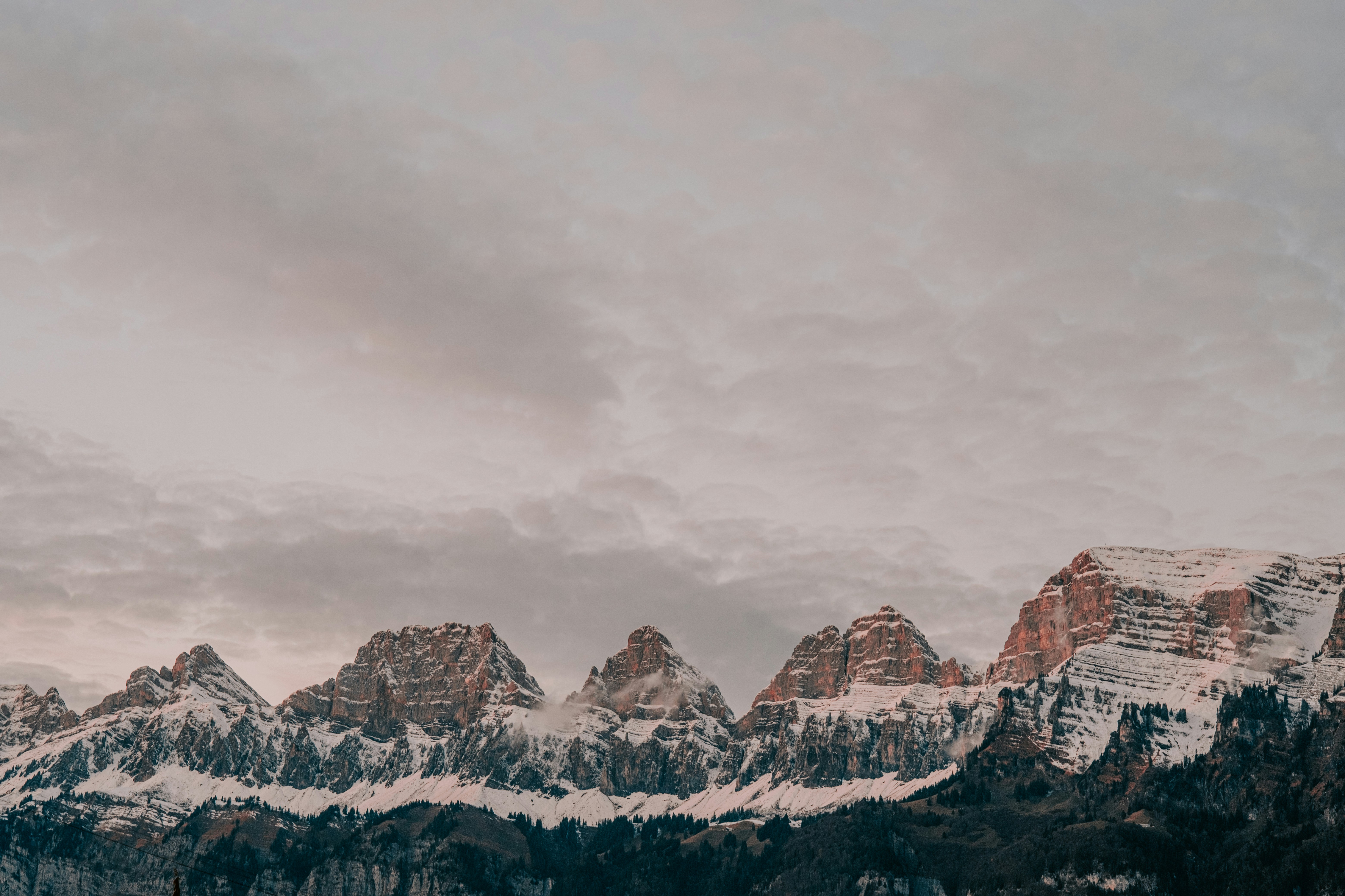 Photo by purzlbaum