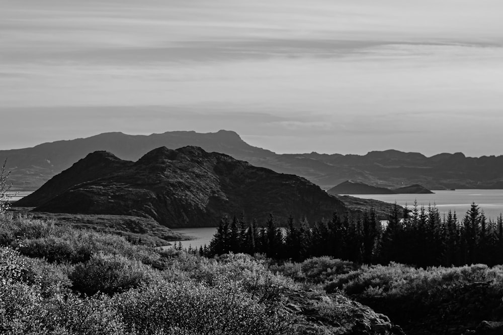 a black and white photo of mountains and water