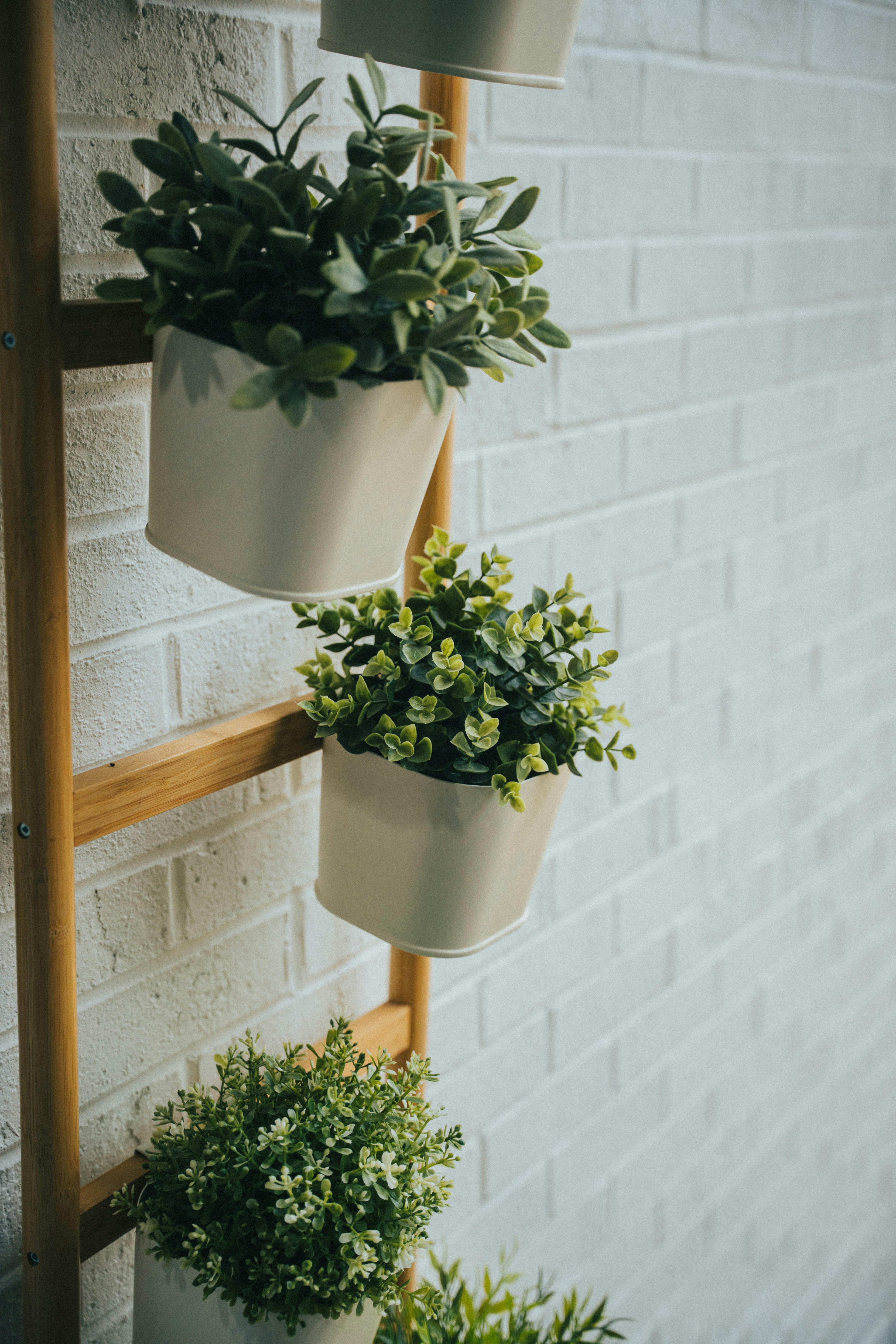 Photo by ninetyeight_stills