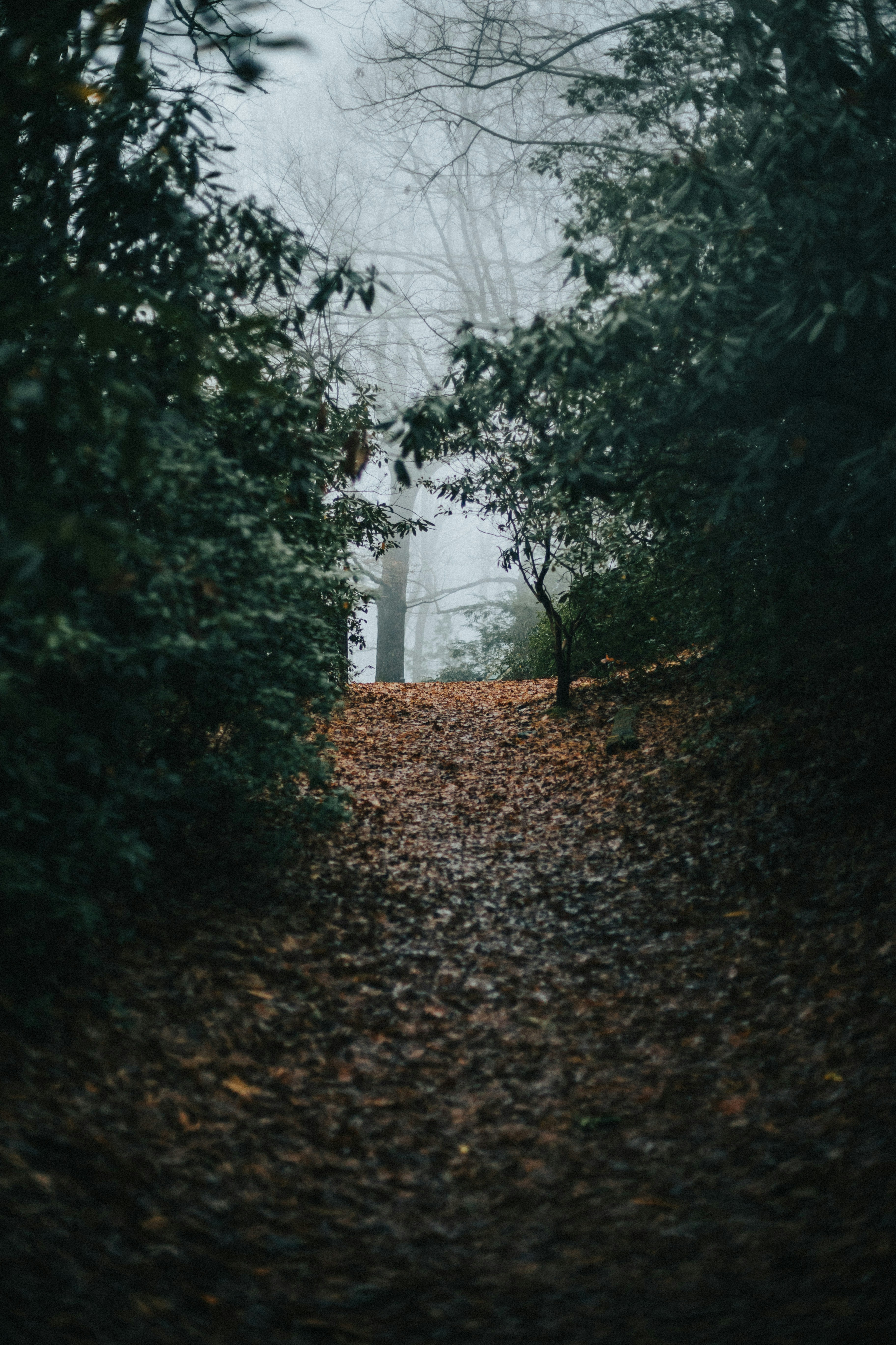 Photo by ninetyeight_stills