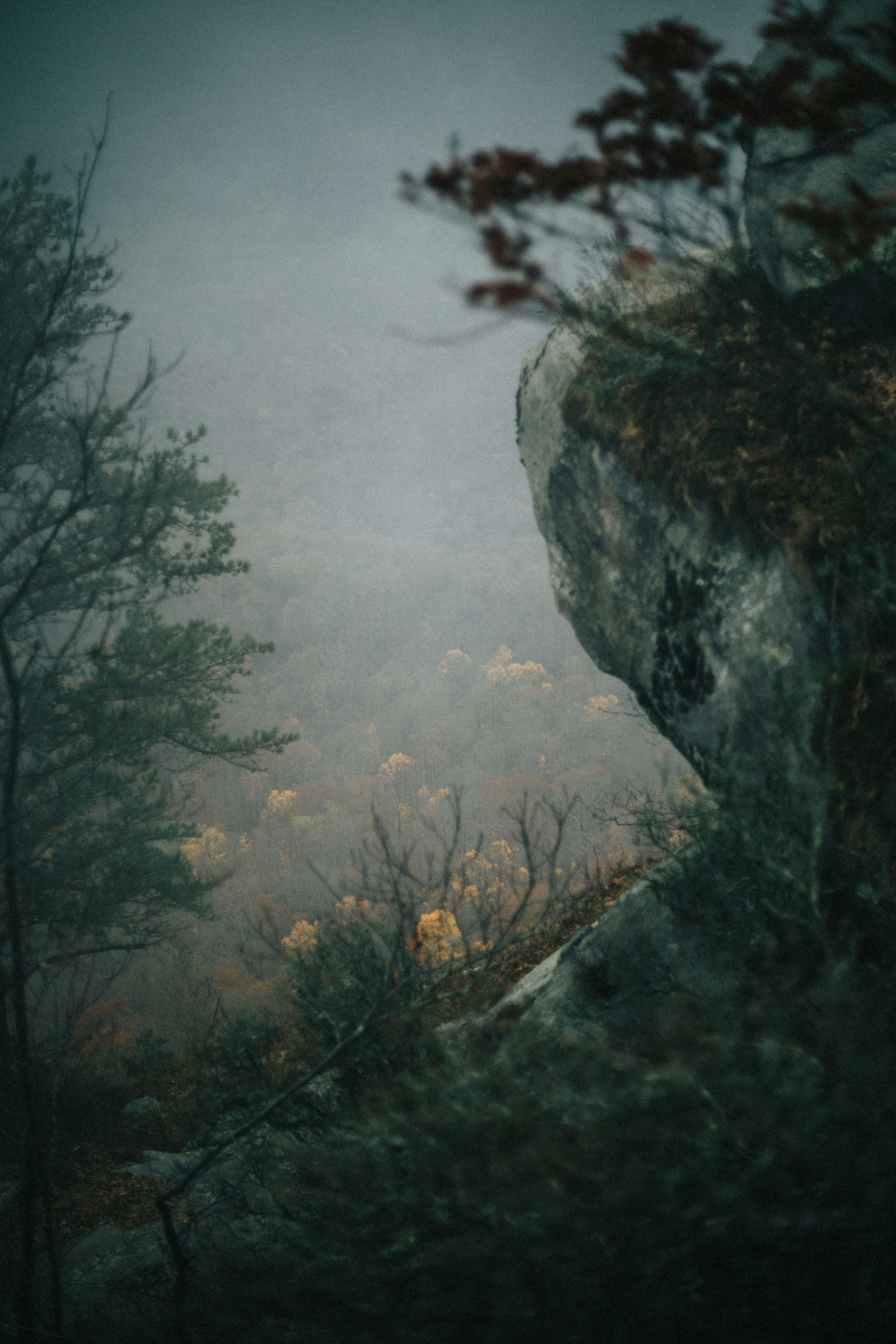 Photo by ninetyeight_stills