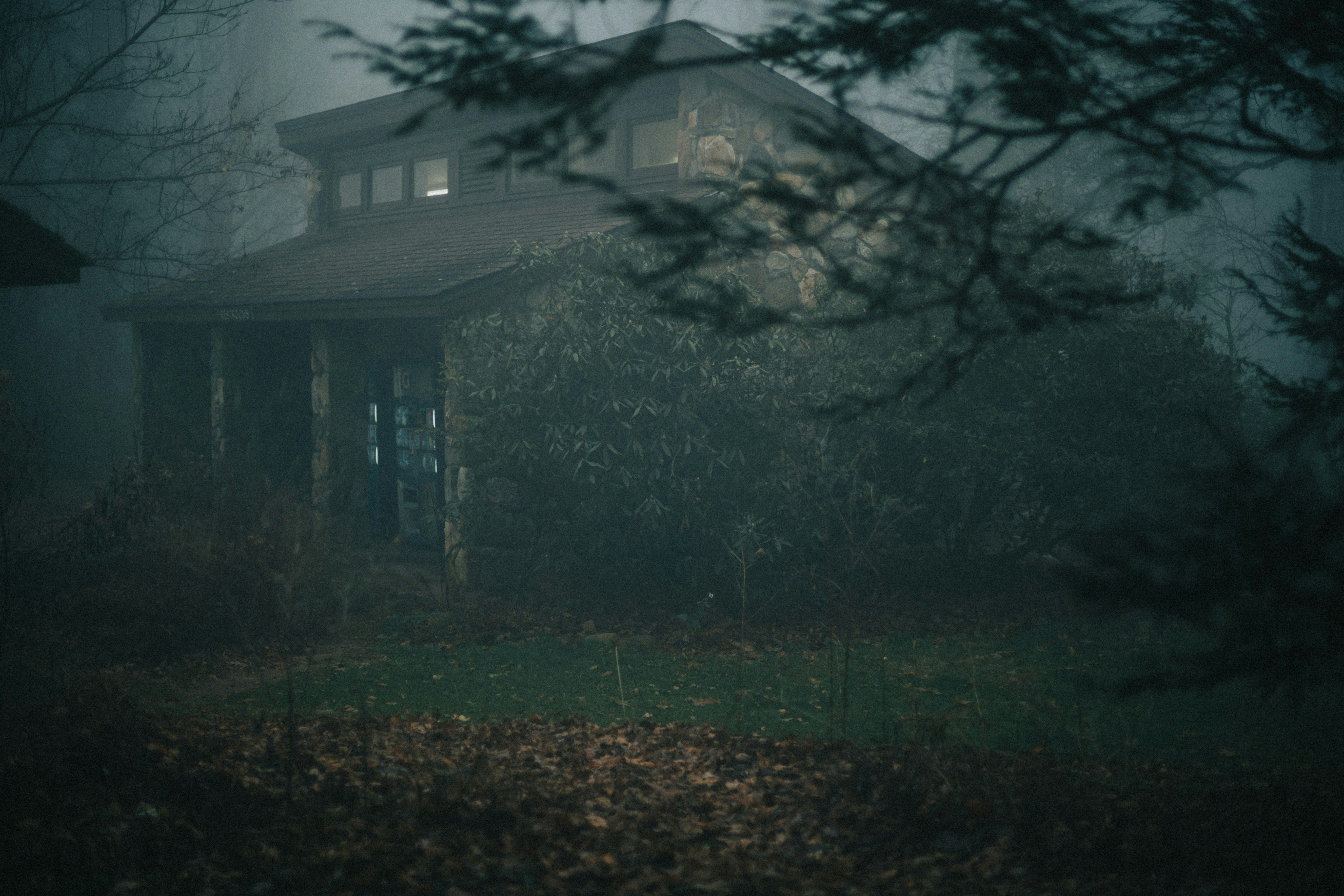 Photo by ninetyeight_stills