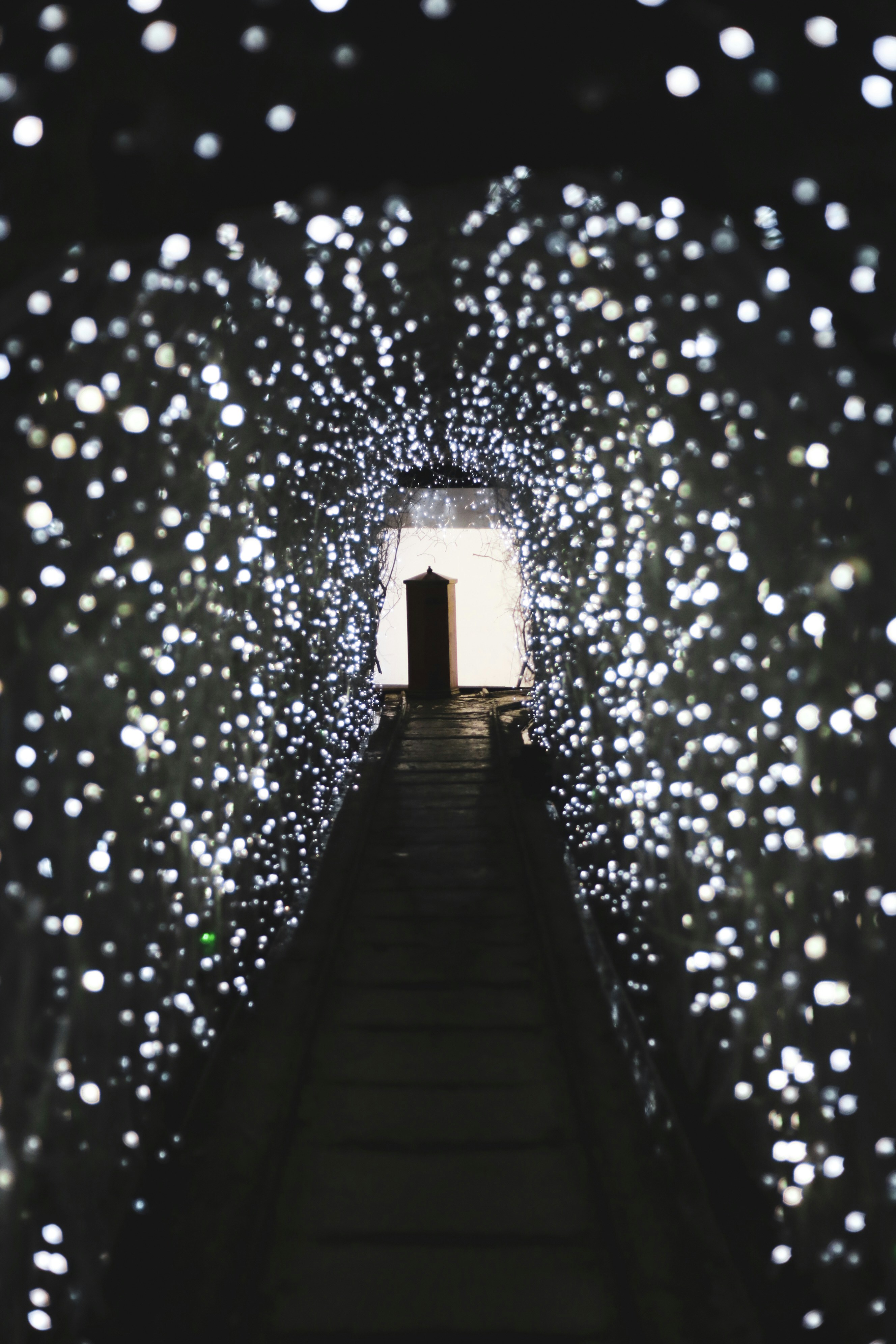 Photo by focalinsight