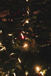 Brightly lit eco-friendly Christmas garlands draped along a mantelpiece, adding festive charm.