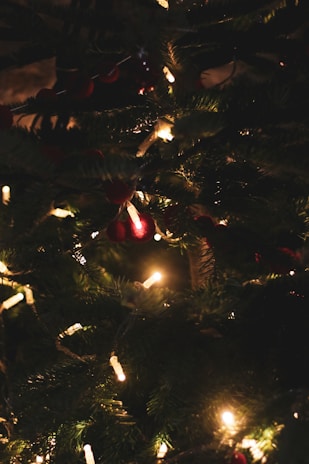 Brightly lit eco-friendly Christmas garlands draped along a mantelpiece, adding festive charm.