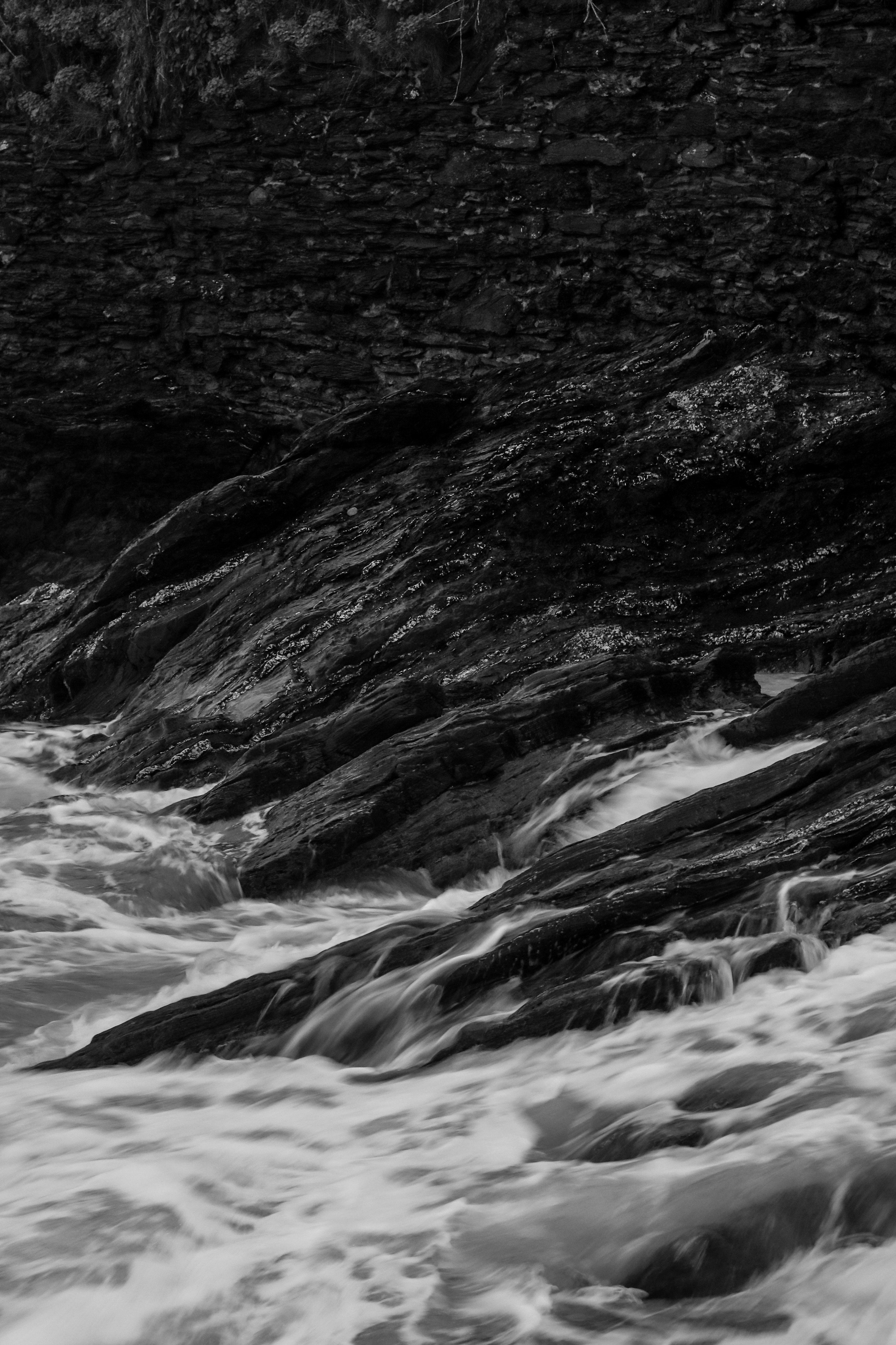 Photo by focalinsight