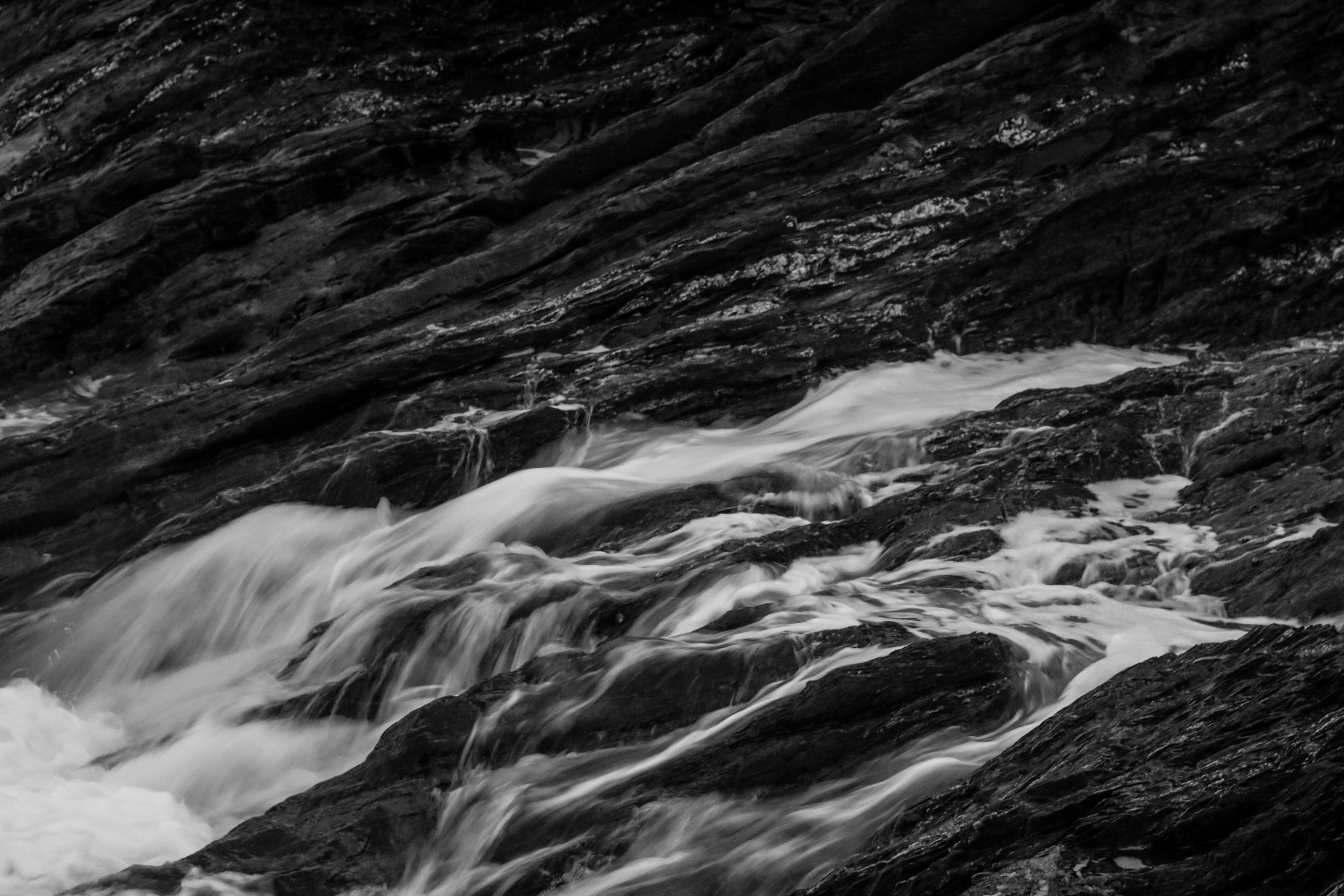 Photo by focalinsight