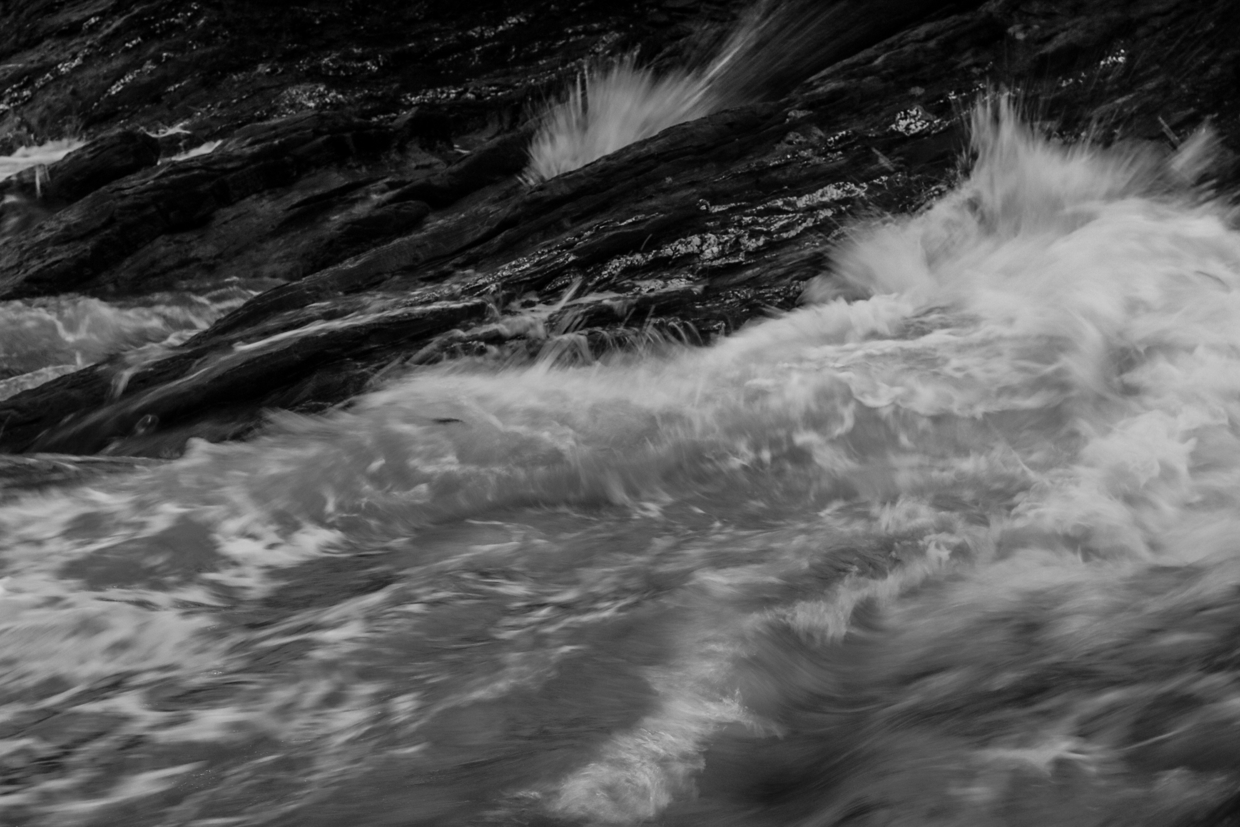 Photo by focalinsight