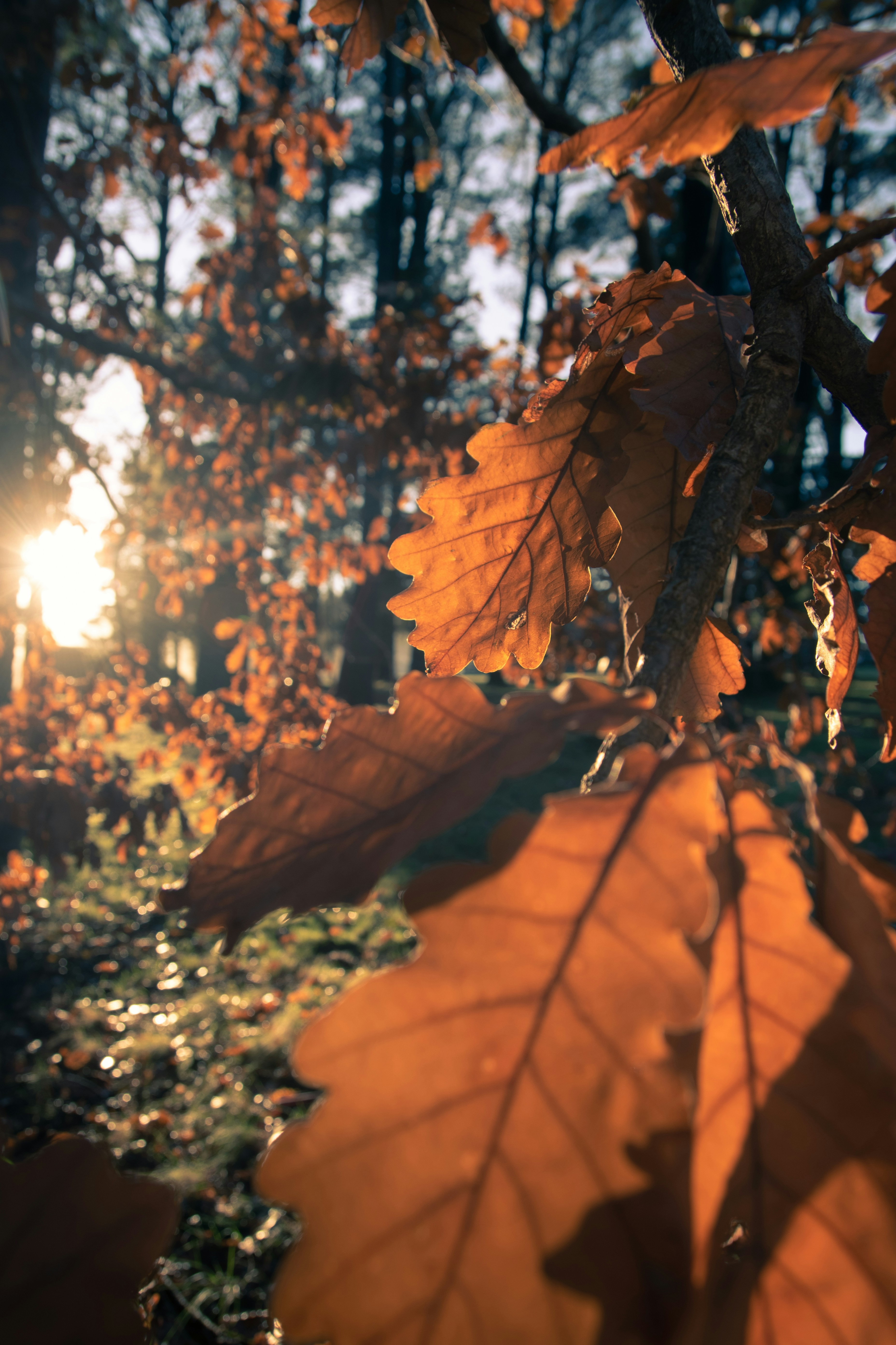 Photo by rhynophotography