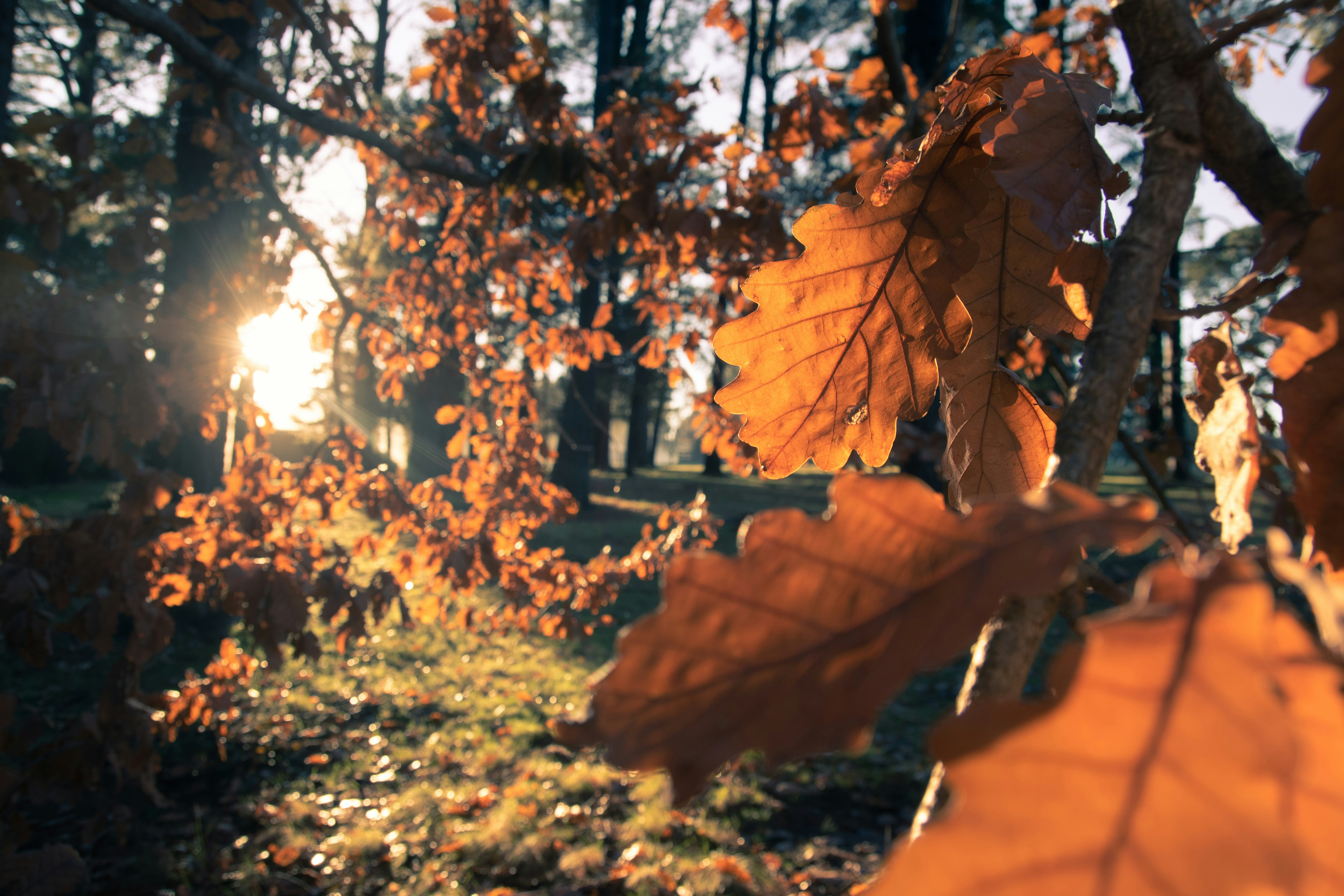 Photo by rhynophotography