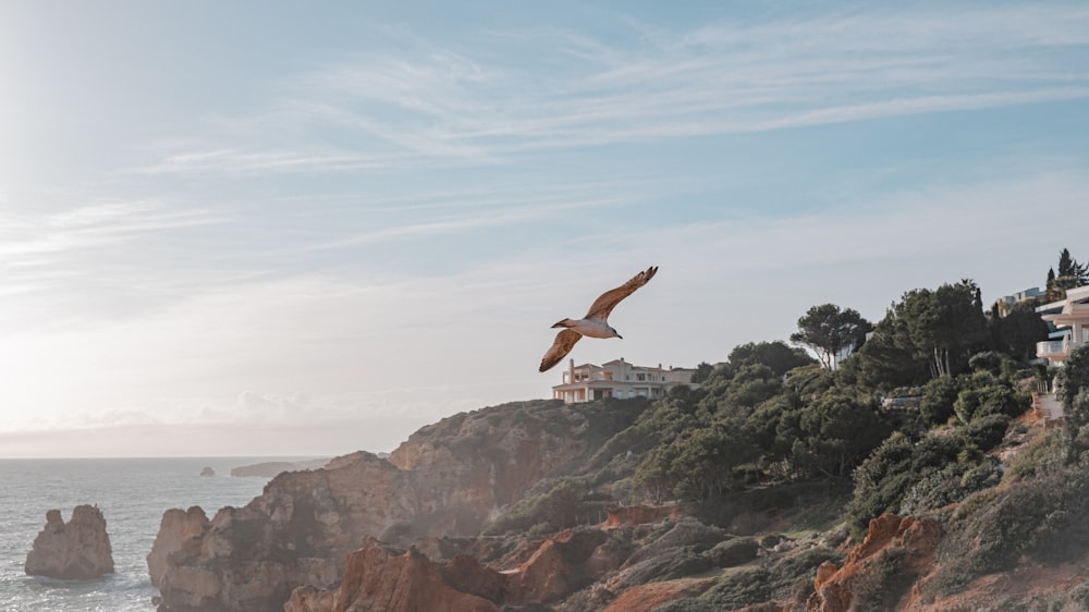 a bird flying over a rocky cliff by the ocean