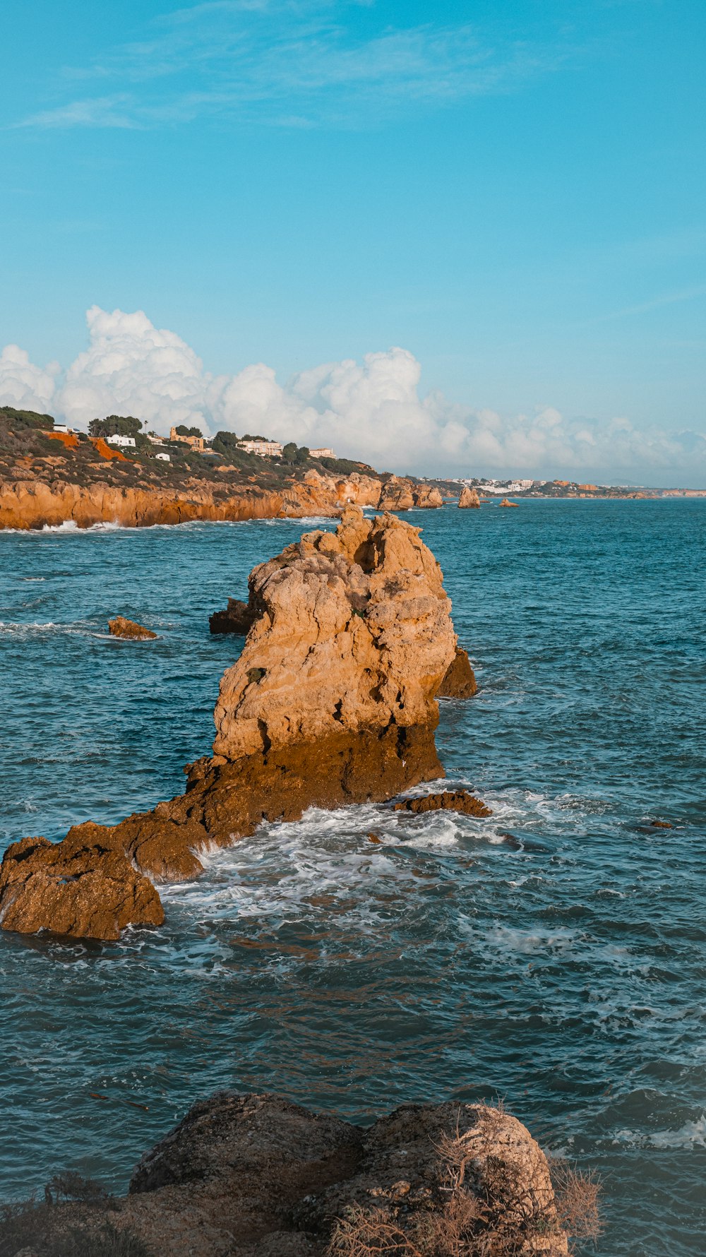 a bird sitting on a rock in the middle of the ocean