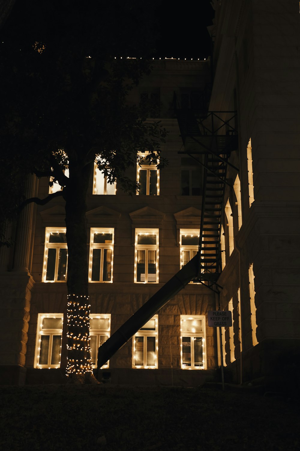 a building with a lit up christmas tree in front of it