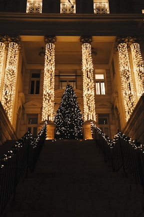 Columns illuminated with bright, festive holiday decorations.