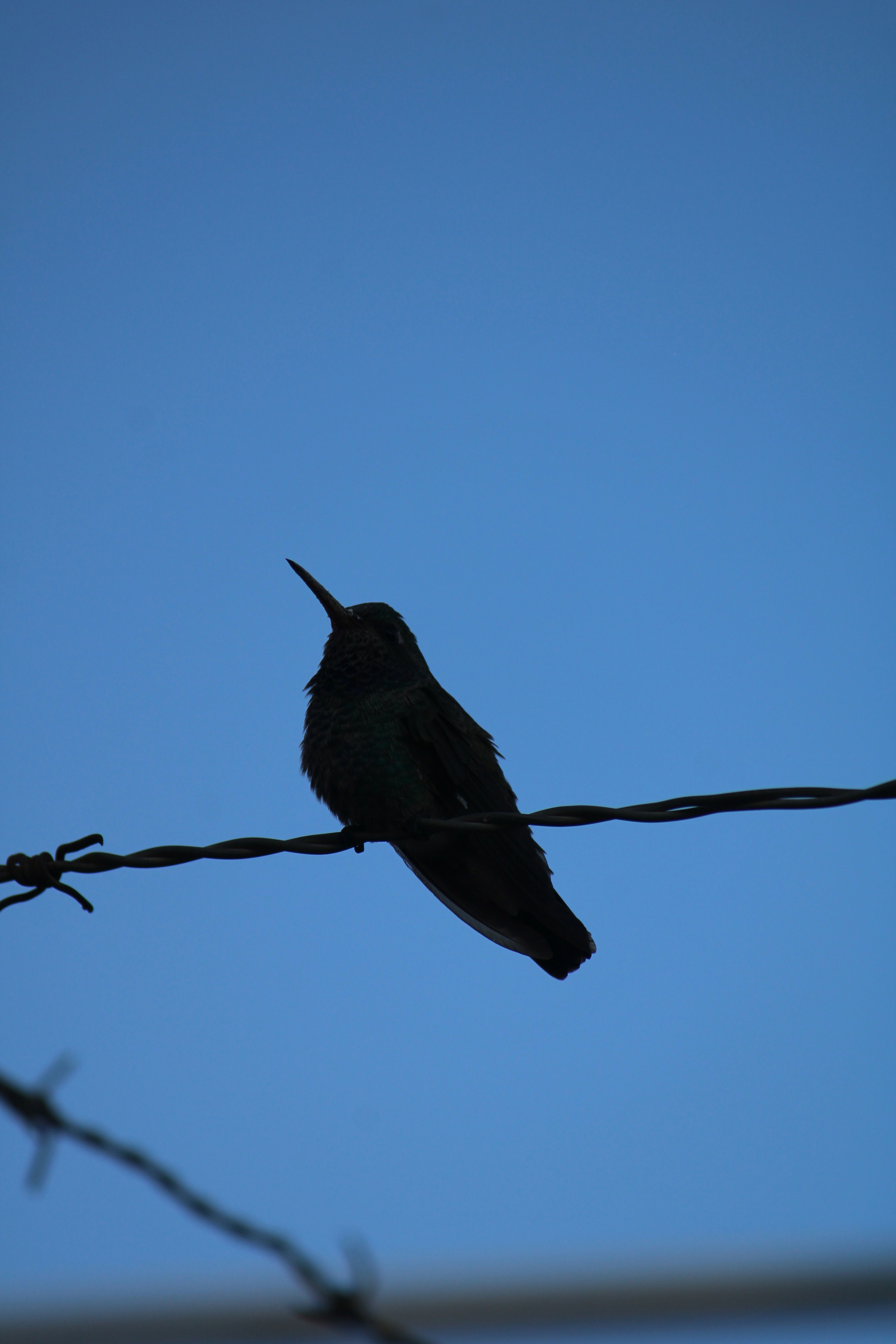 Photo by gaeljimenez_29