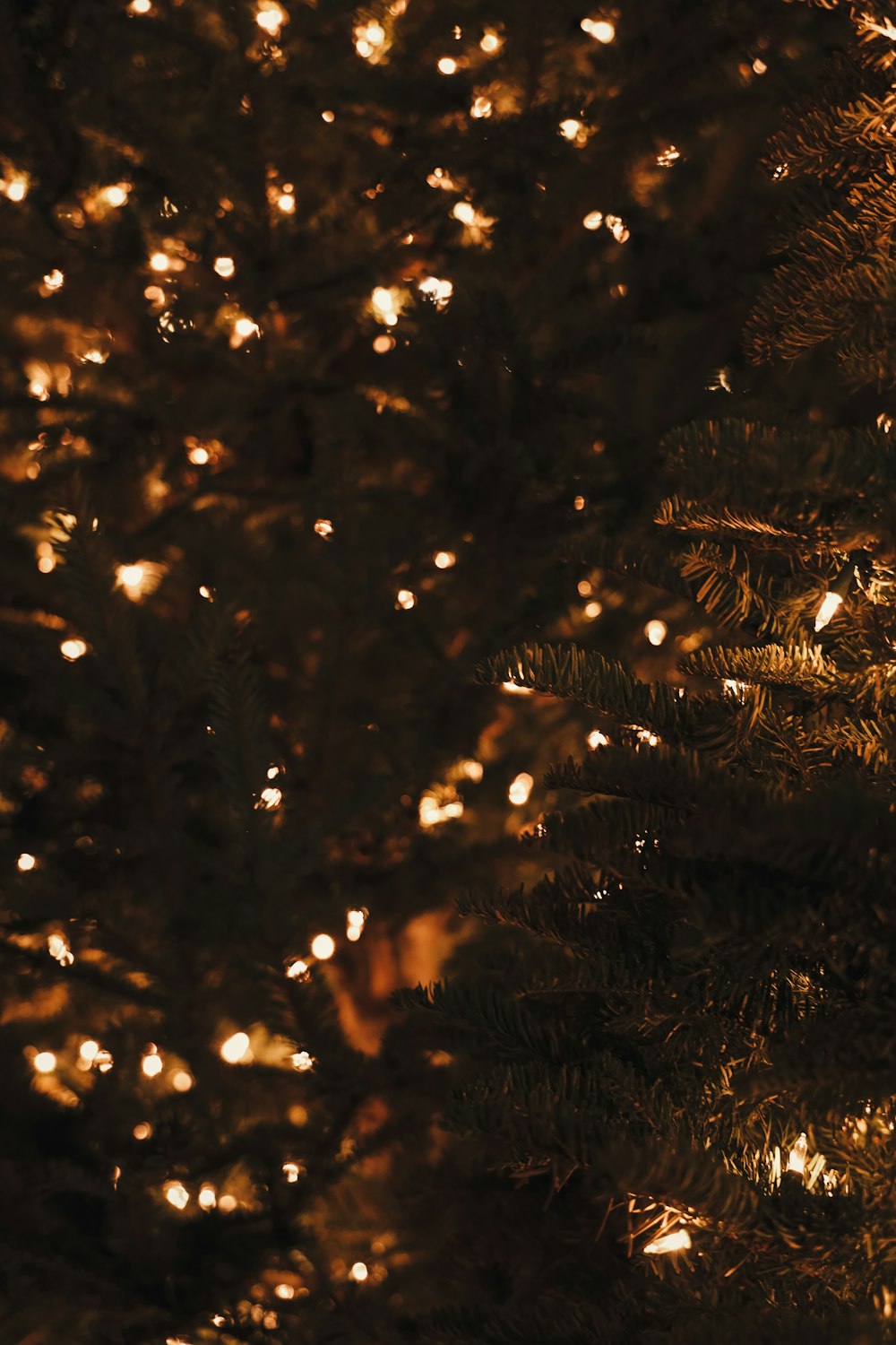 a close up of a lit christmas tree
