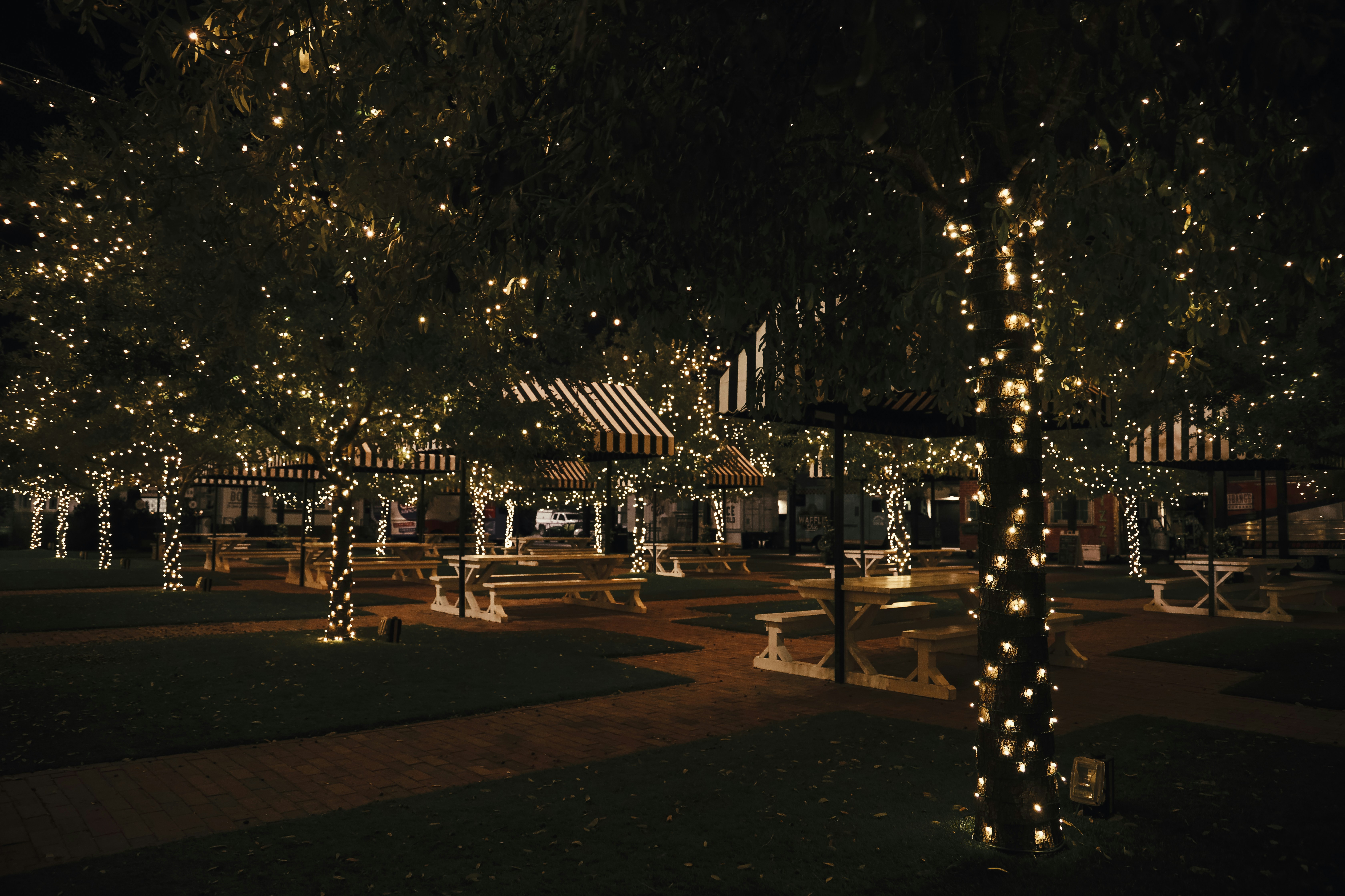 a park with a lot of lights on the trees, 
