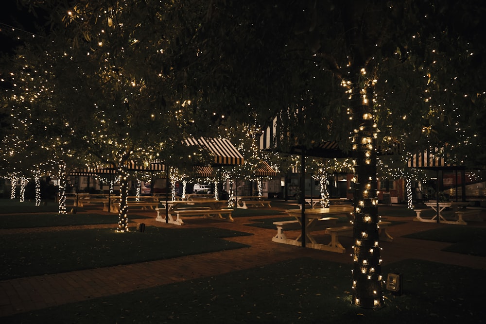 Un parque con muchas luces en los árboles