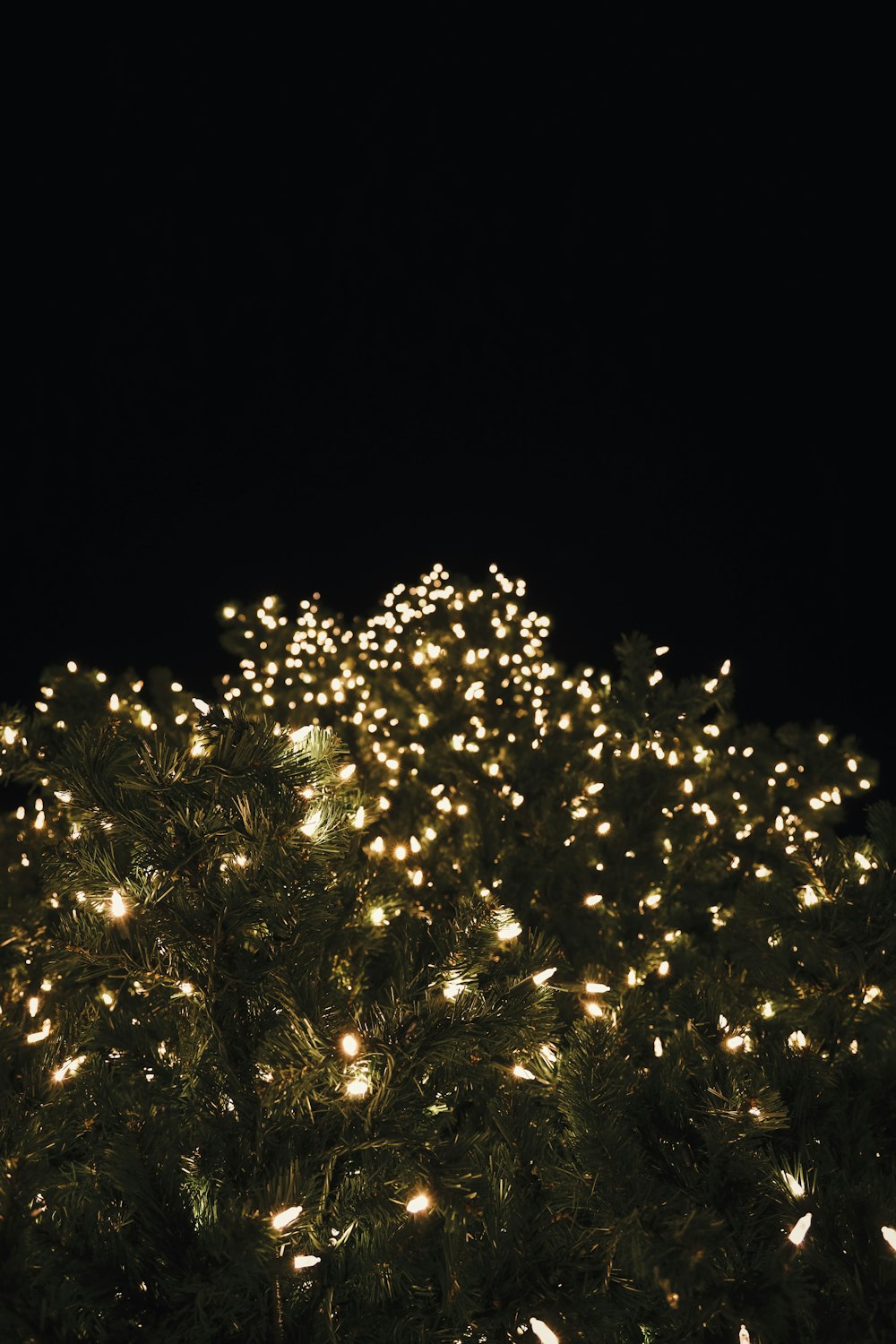 a bunch of lights that are on a tree