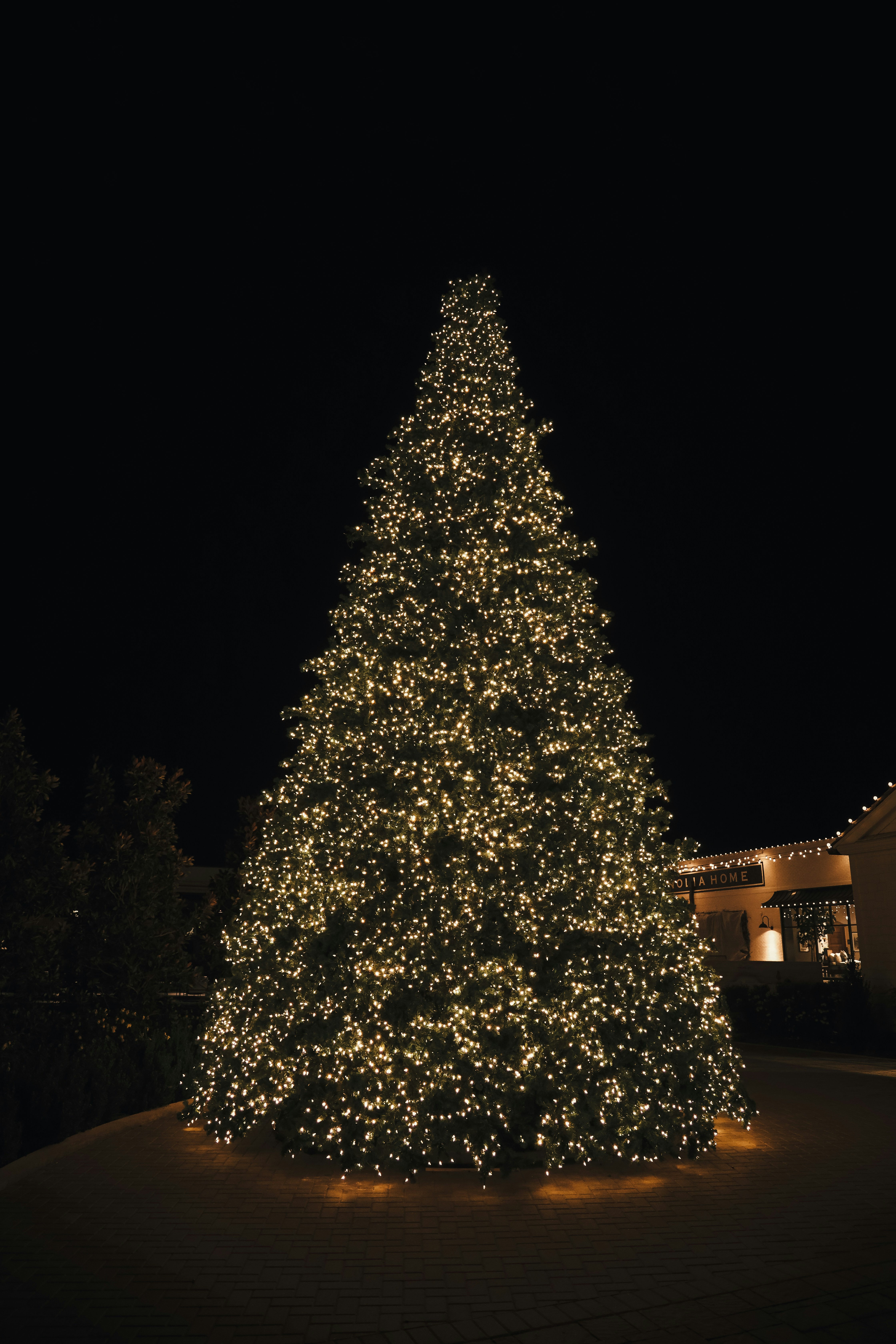 Photo by lilyycamillephoto