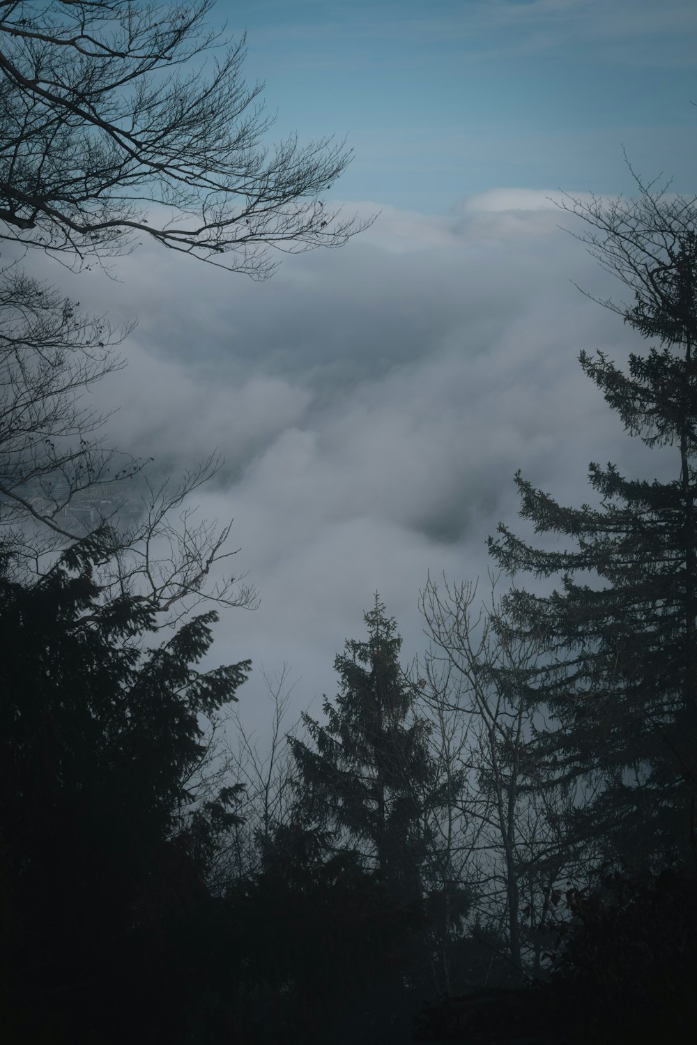 a view of the clouds and trees from the top of a hill