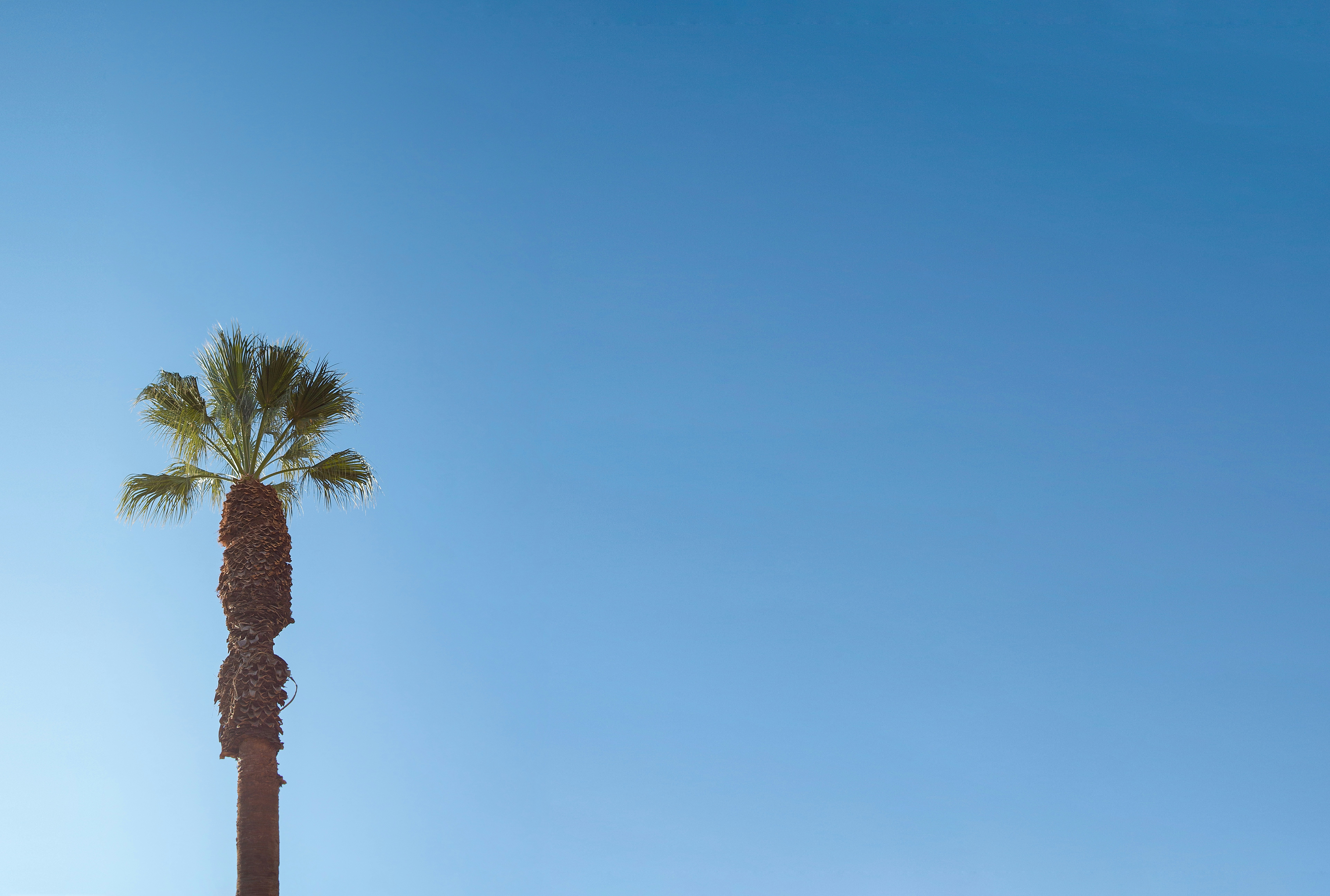 Photo by emmanuelphaeton