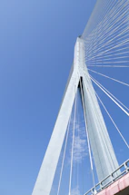 A detailed close-up of a cable-stayed bridge under construction at sunset.